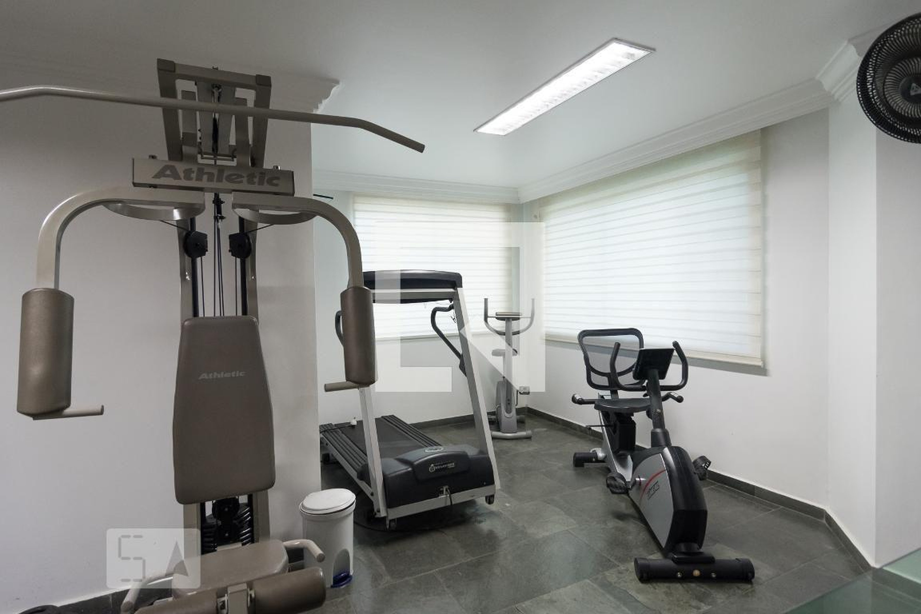 Academia - Amadeu rey