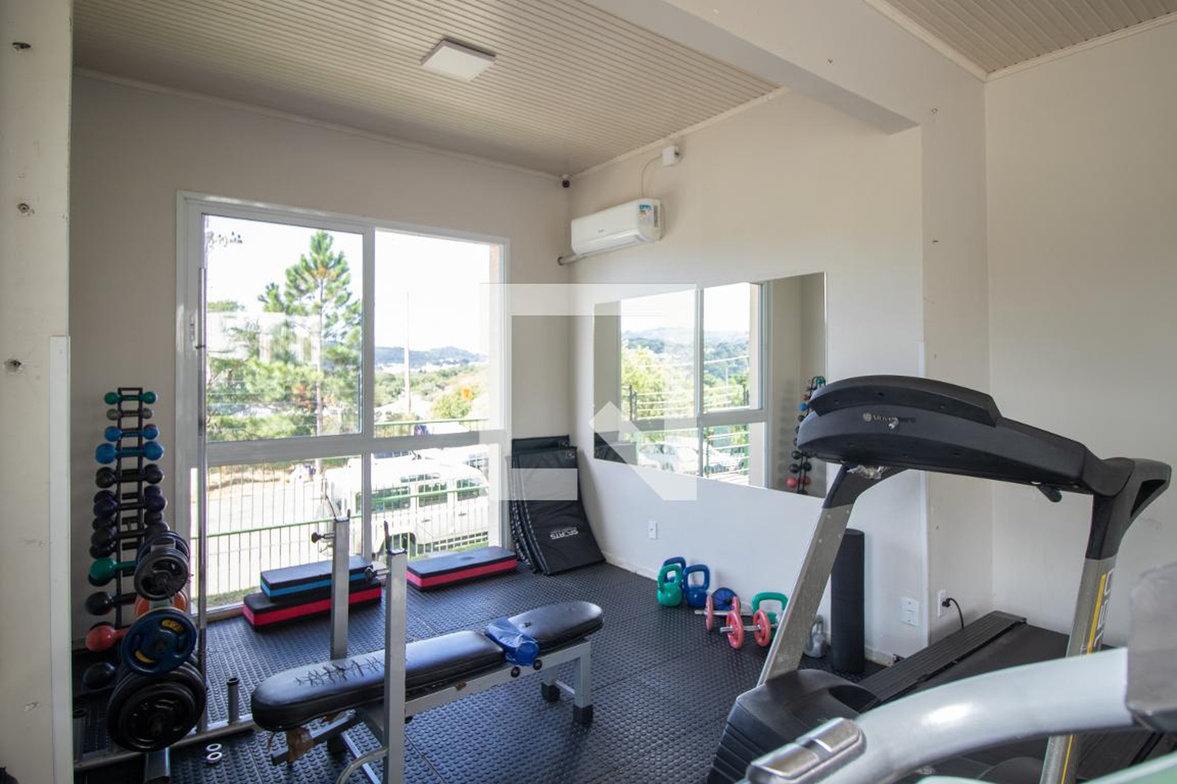 Academia - Forest Park