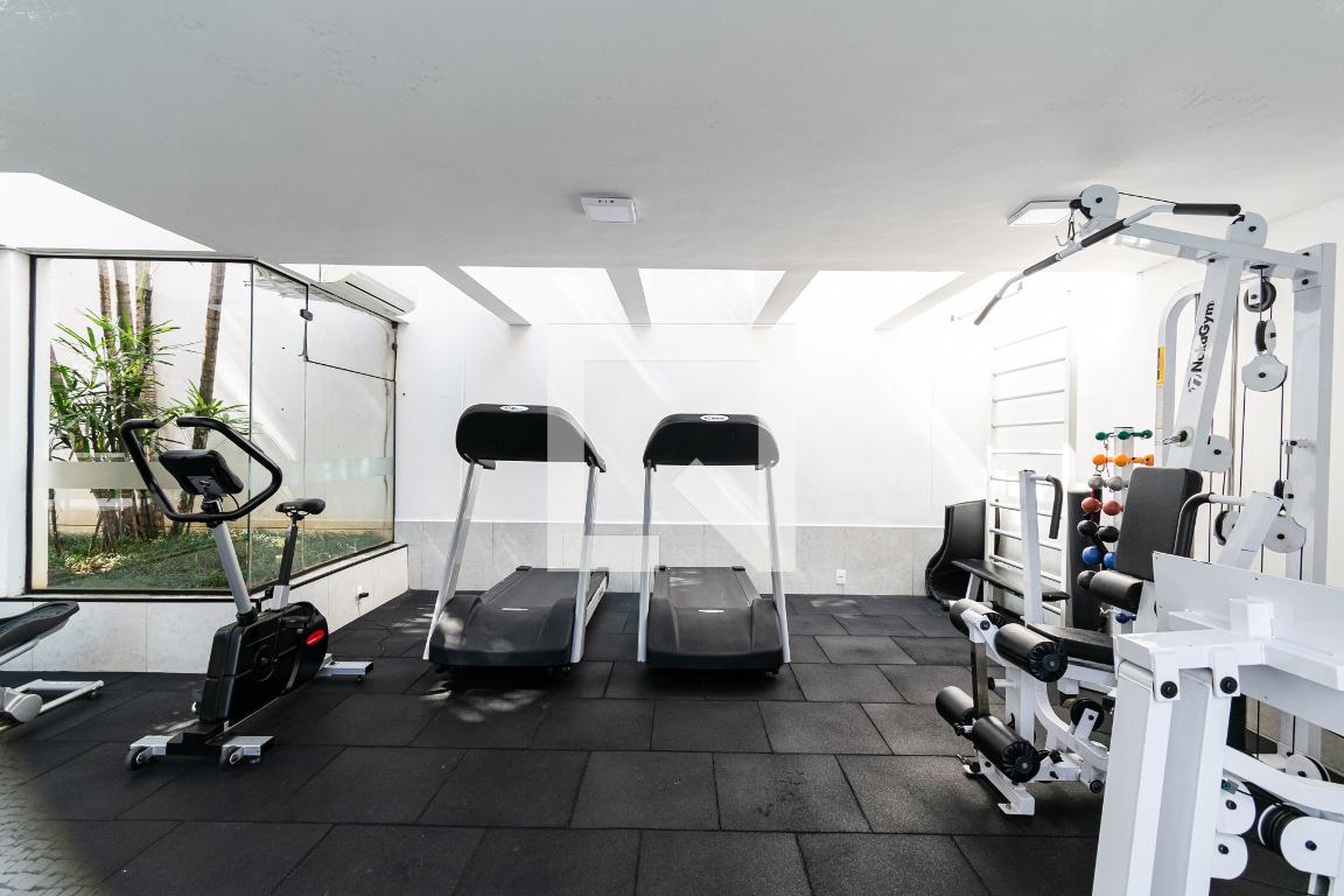 Academia - Es Alexandre Magno