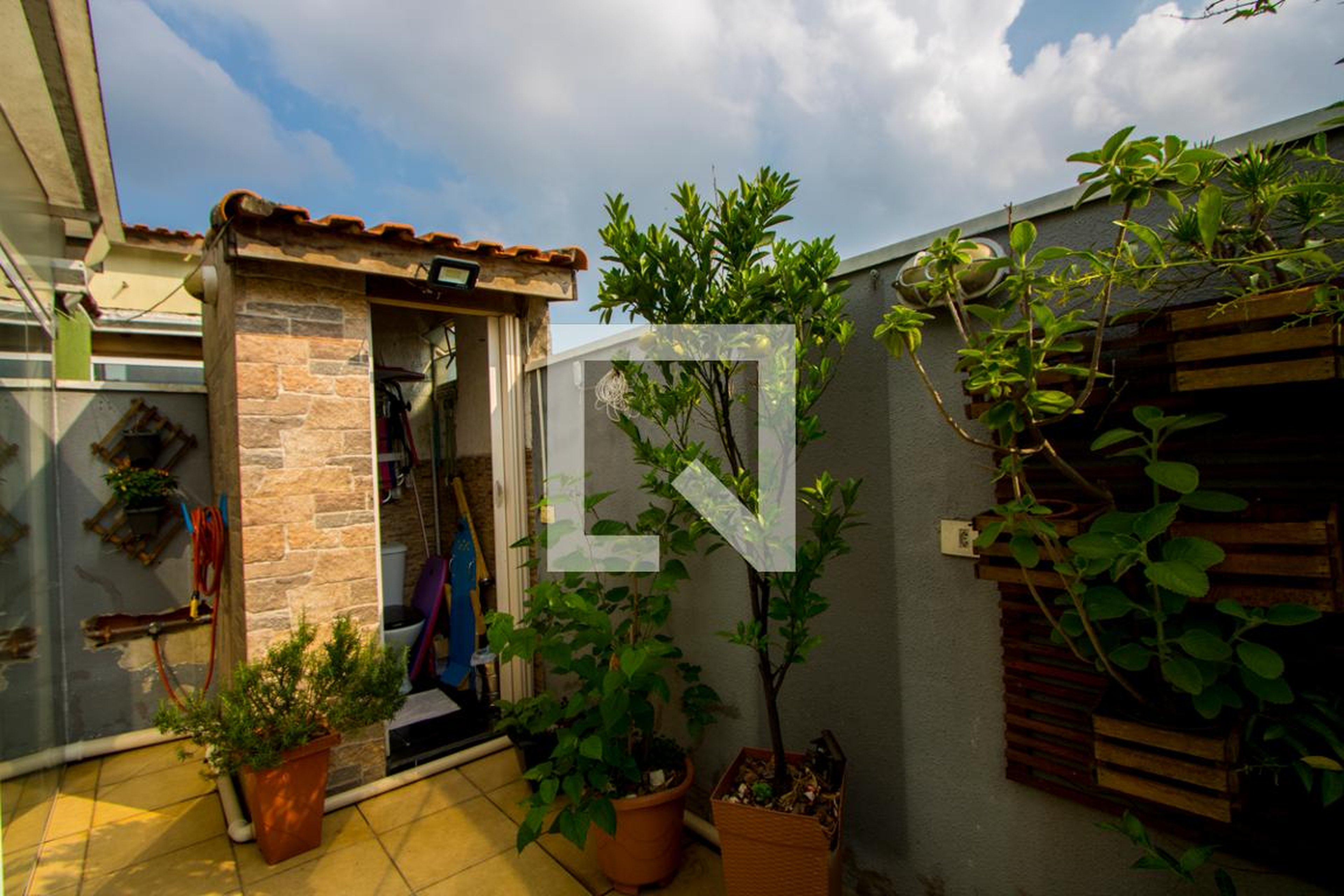 Área externa - Cedral