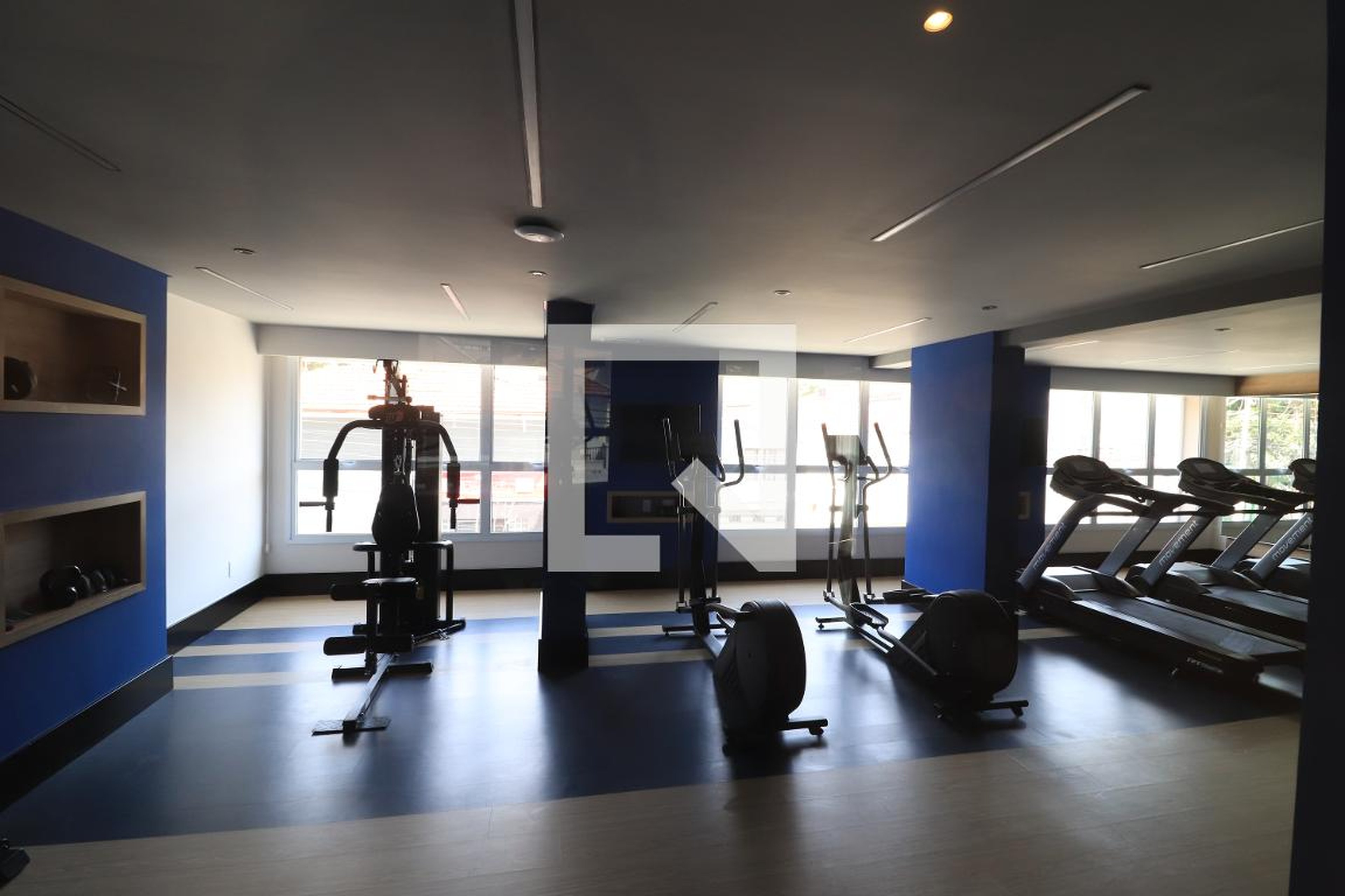 Academia - Platina Patriani