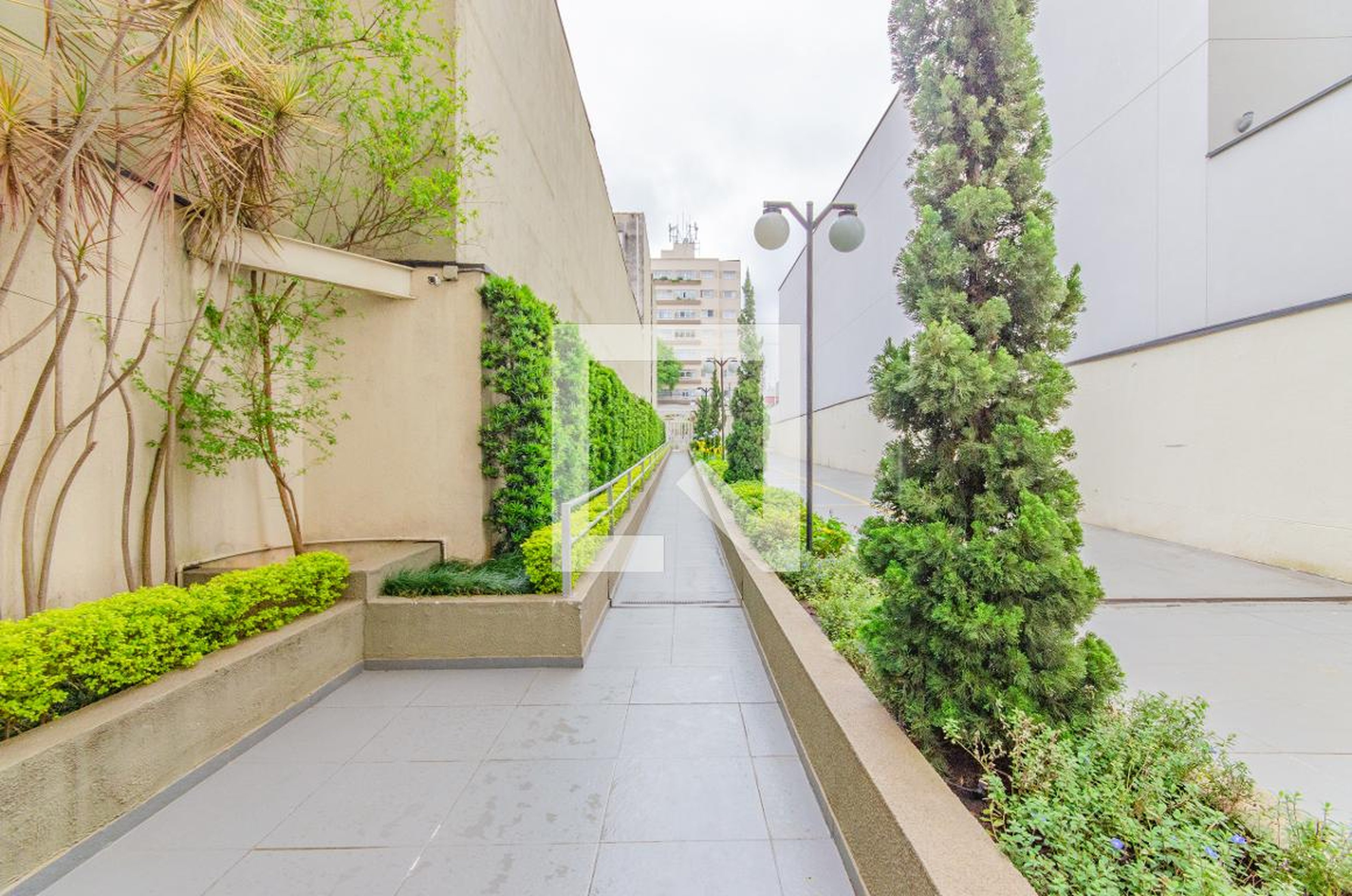 Fachada do Prédio Condomínio em Rua Domingos de Morais, 2821