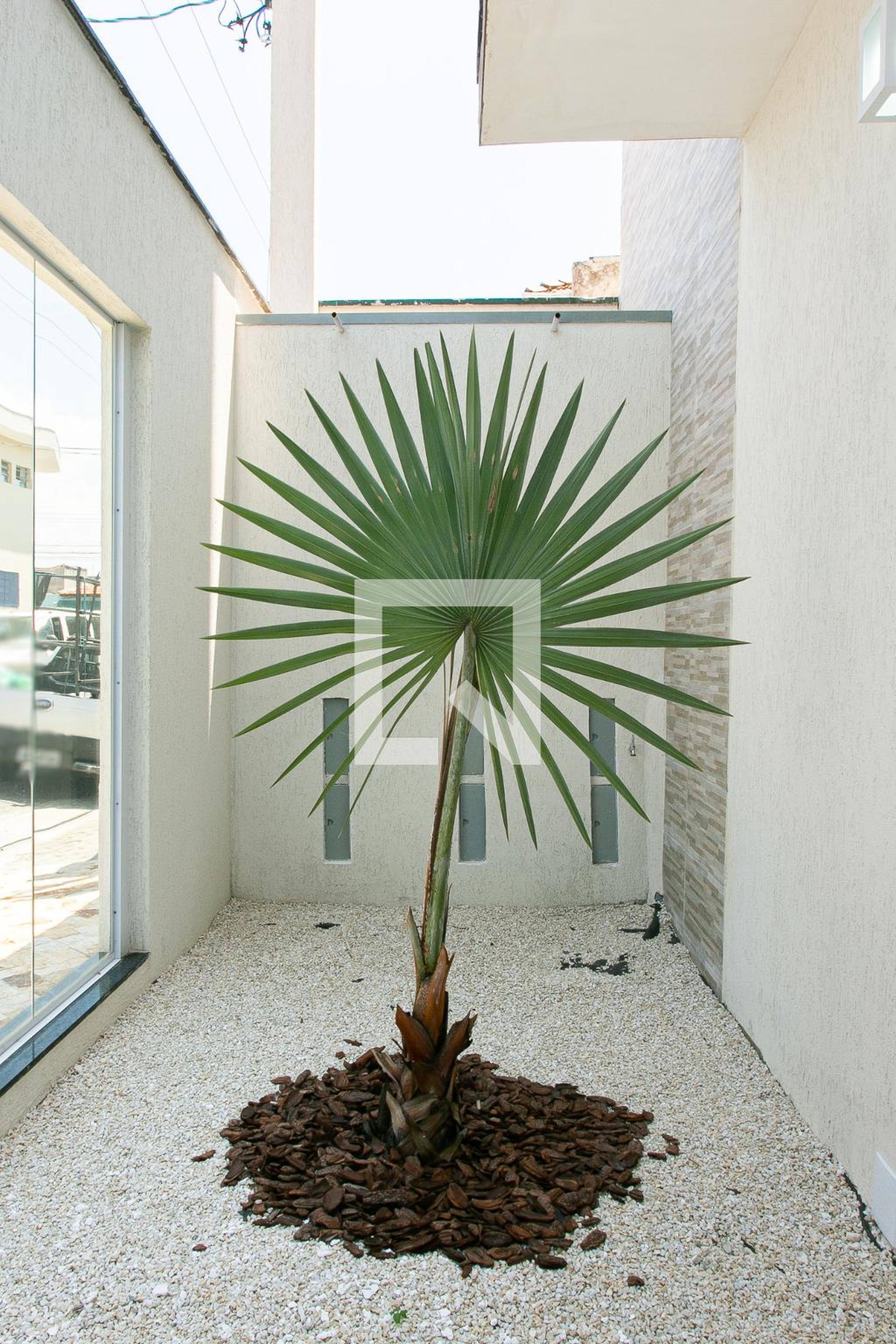 Entrada - Prce Tiuba