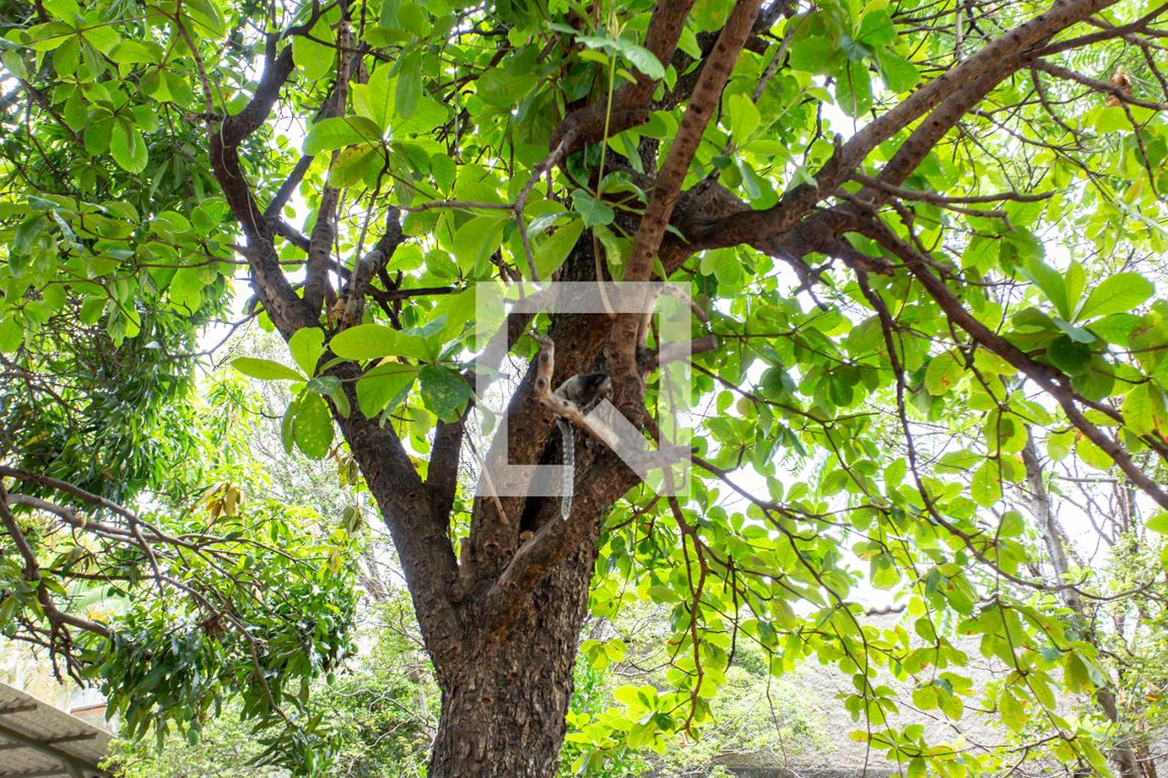 Área Externa - Residencial Parque Doutono