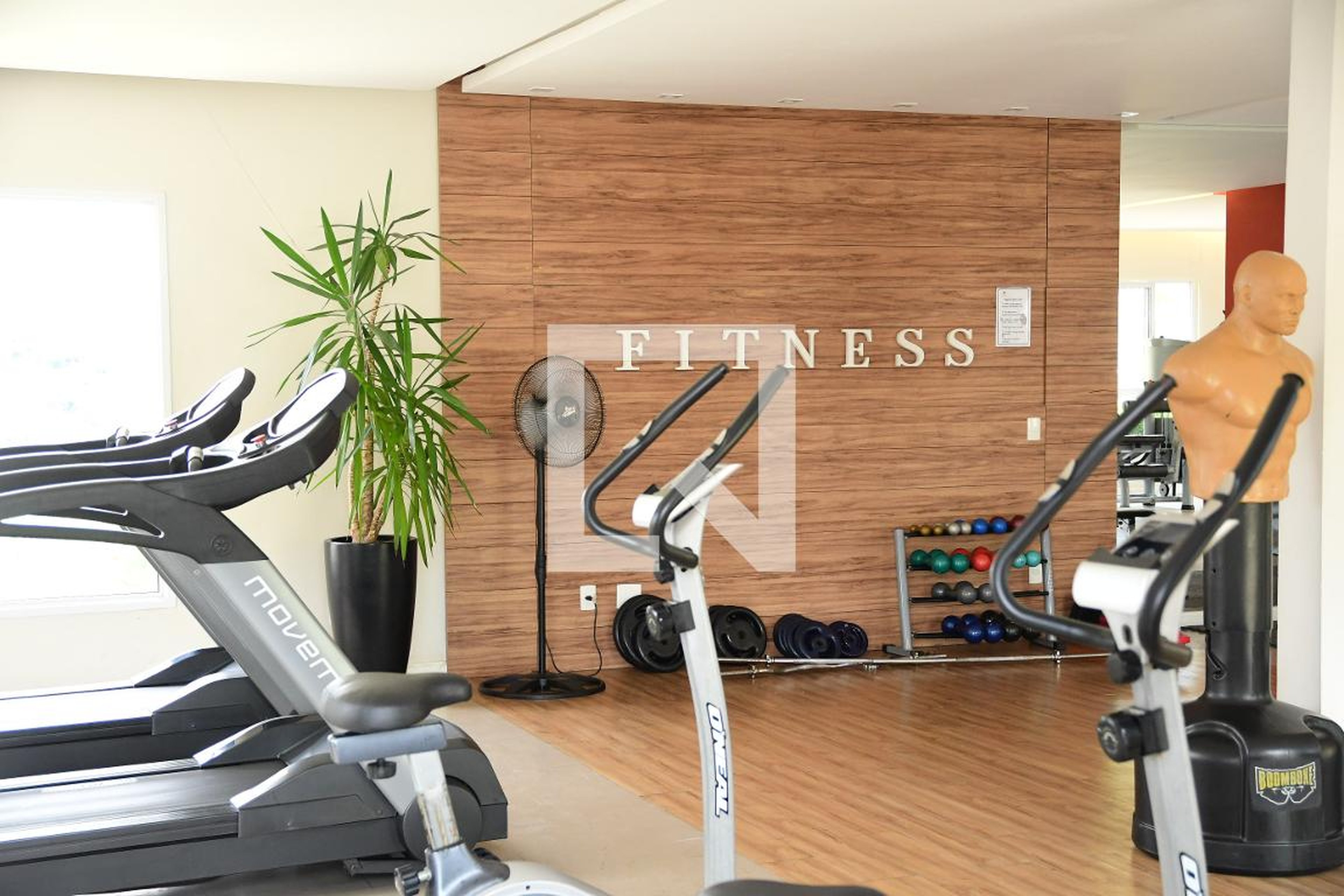 Academia - Harmonia Illumini