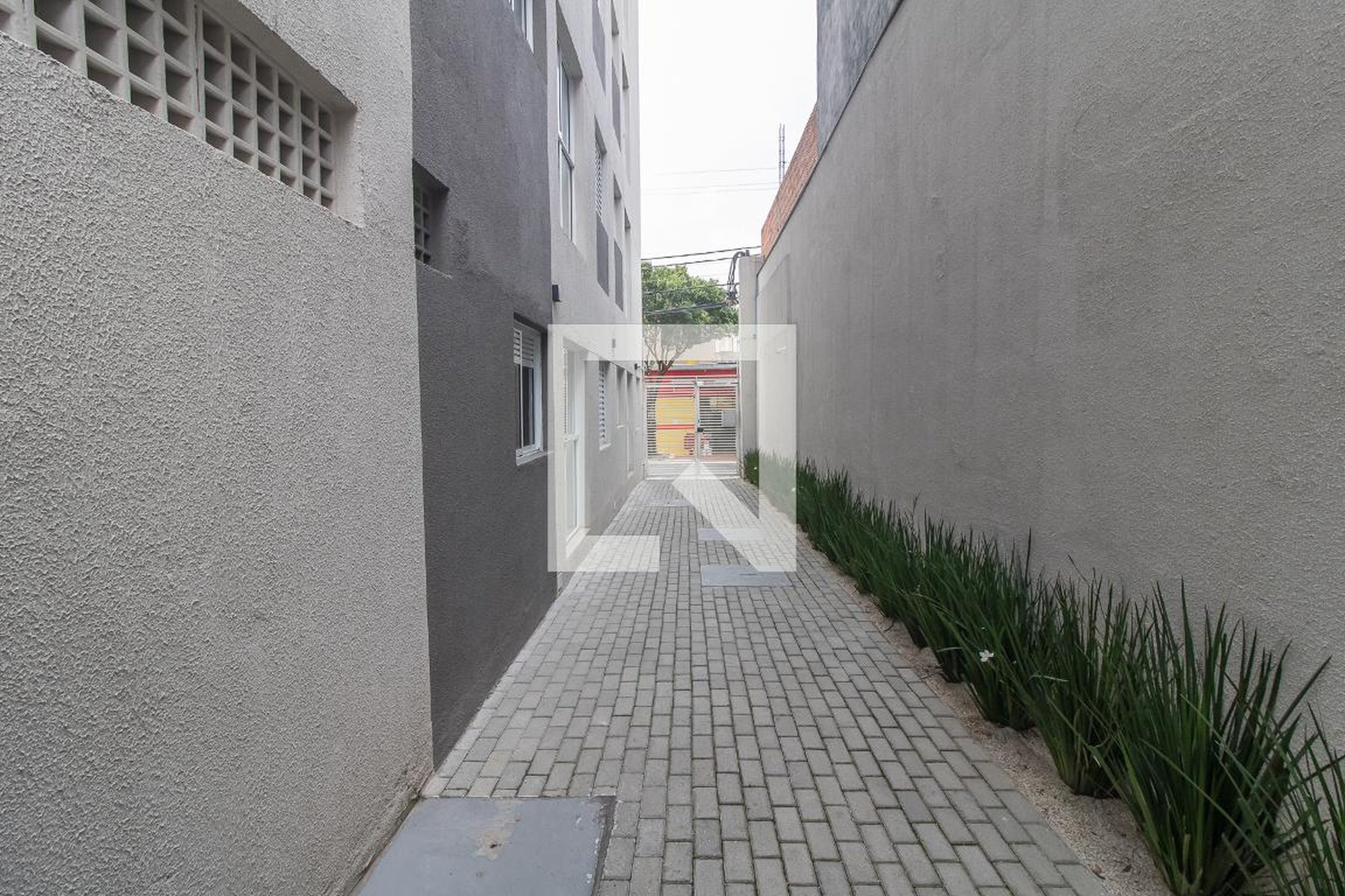 Entrada - Montenegro