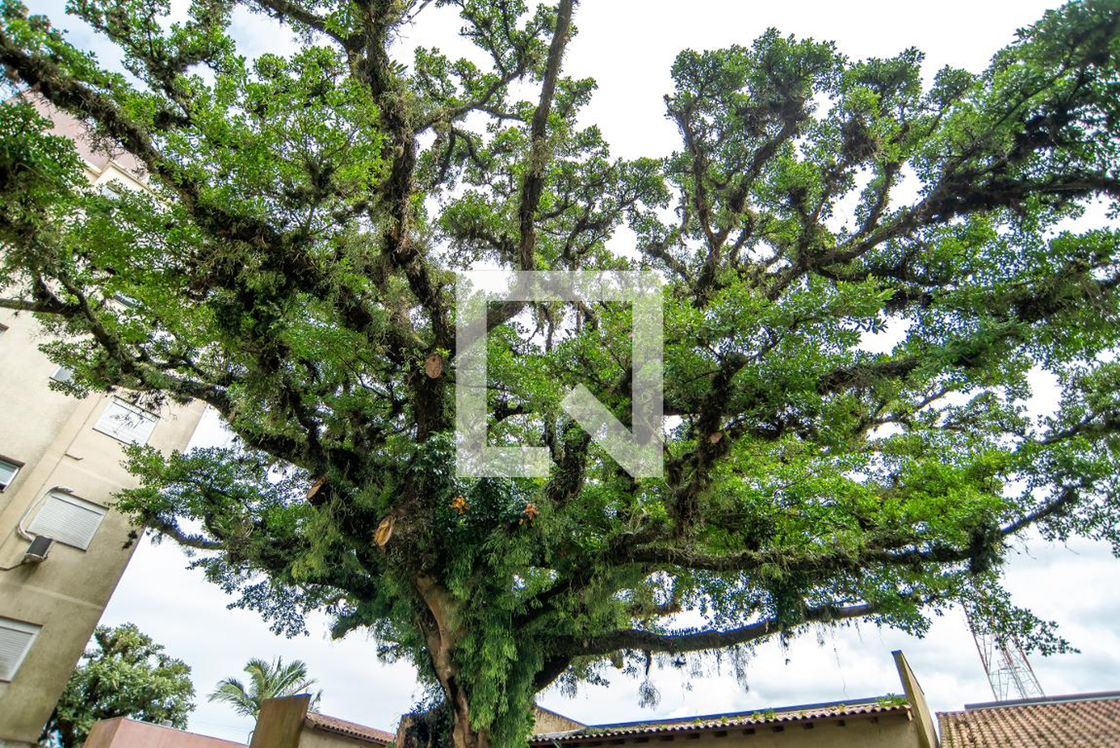 Área externa - Villa Veneto