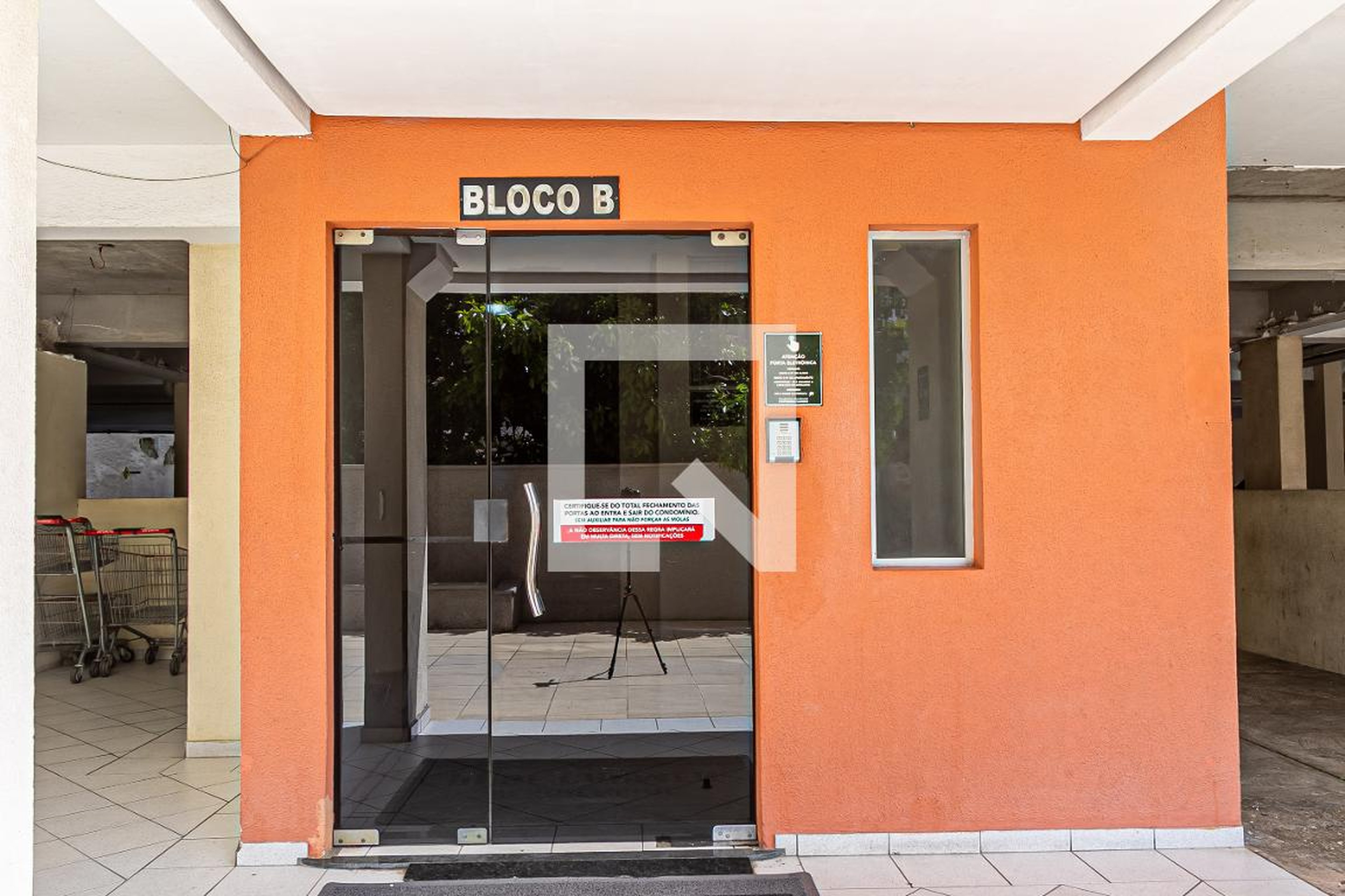 Entrada - Professora Carmem