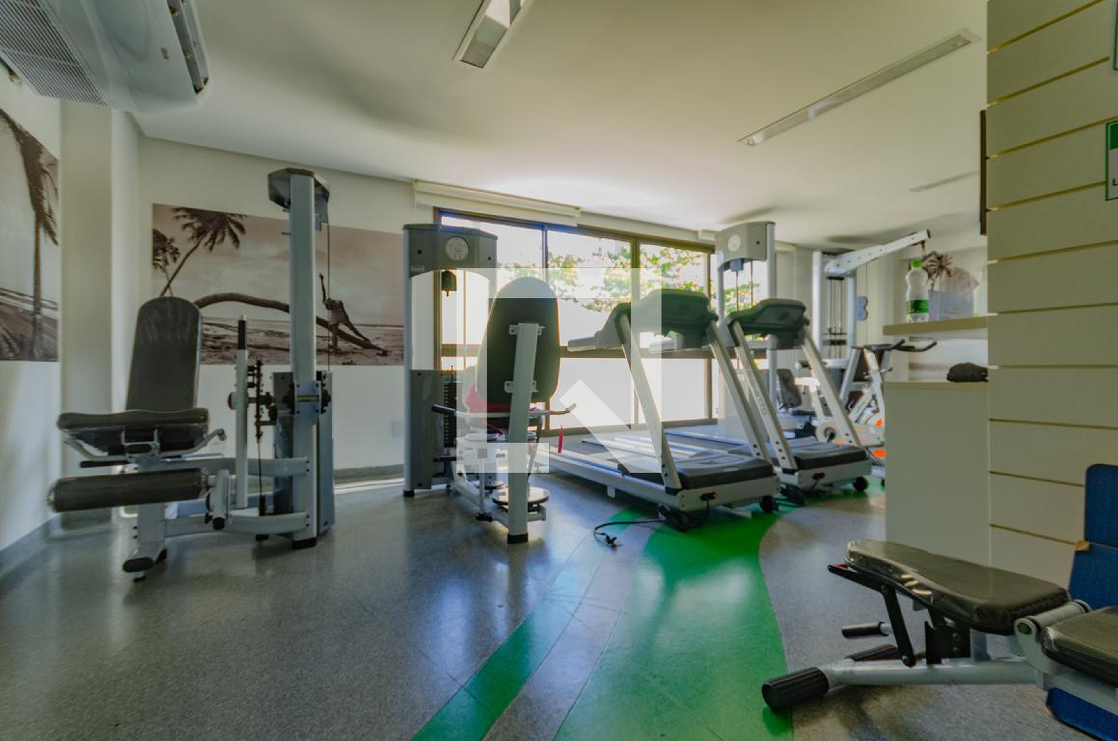 Academia - Ed. Raison Premiere