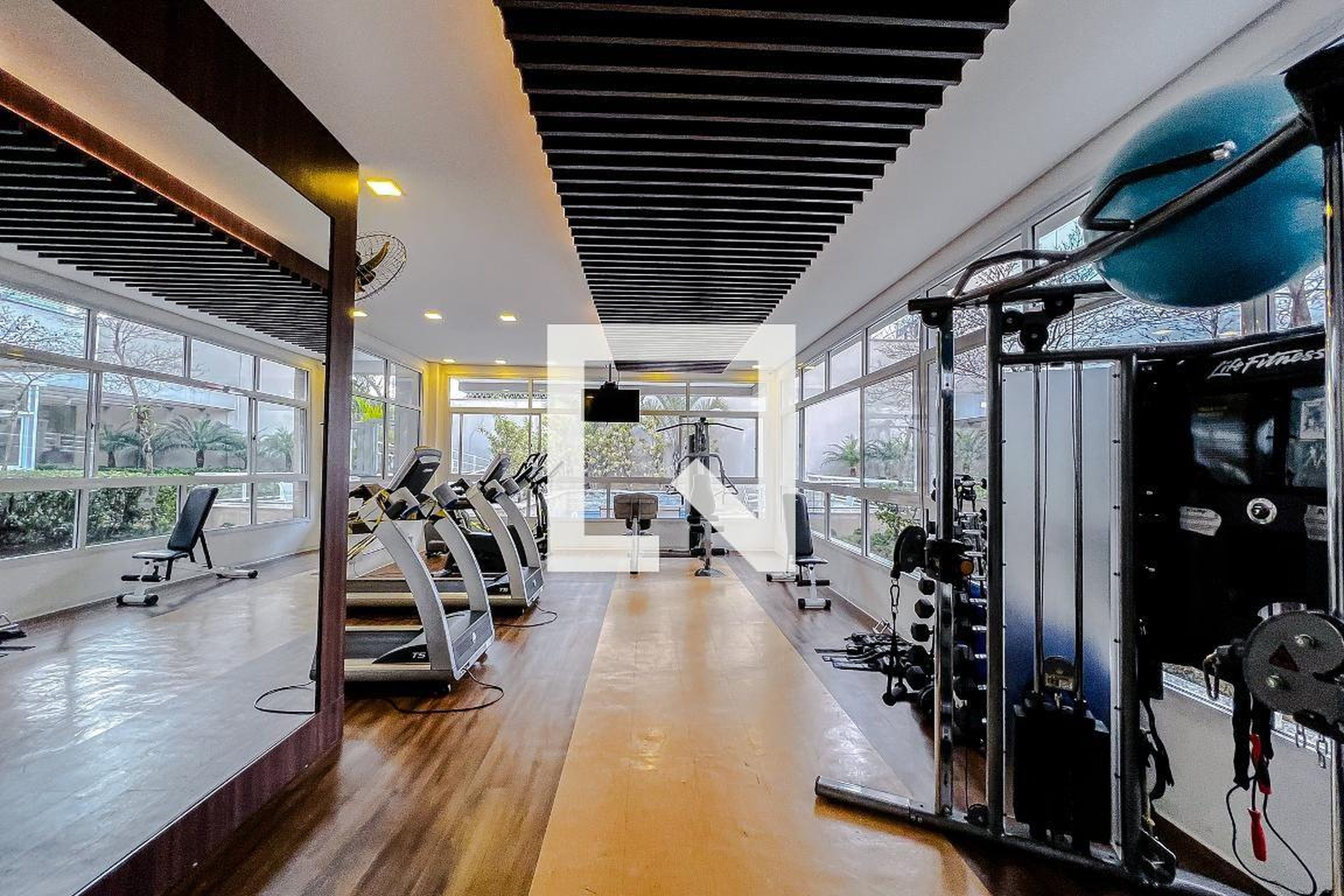 Academia - Legítimo Eloy