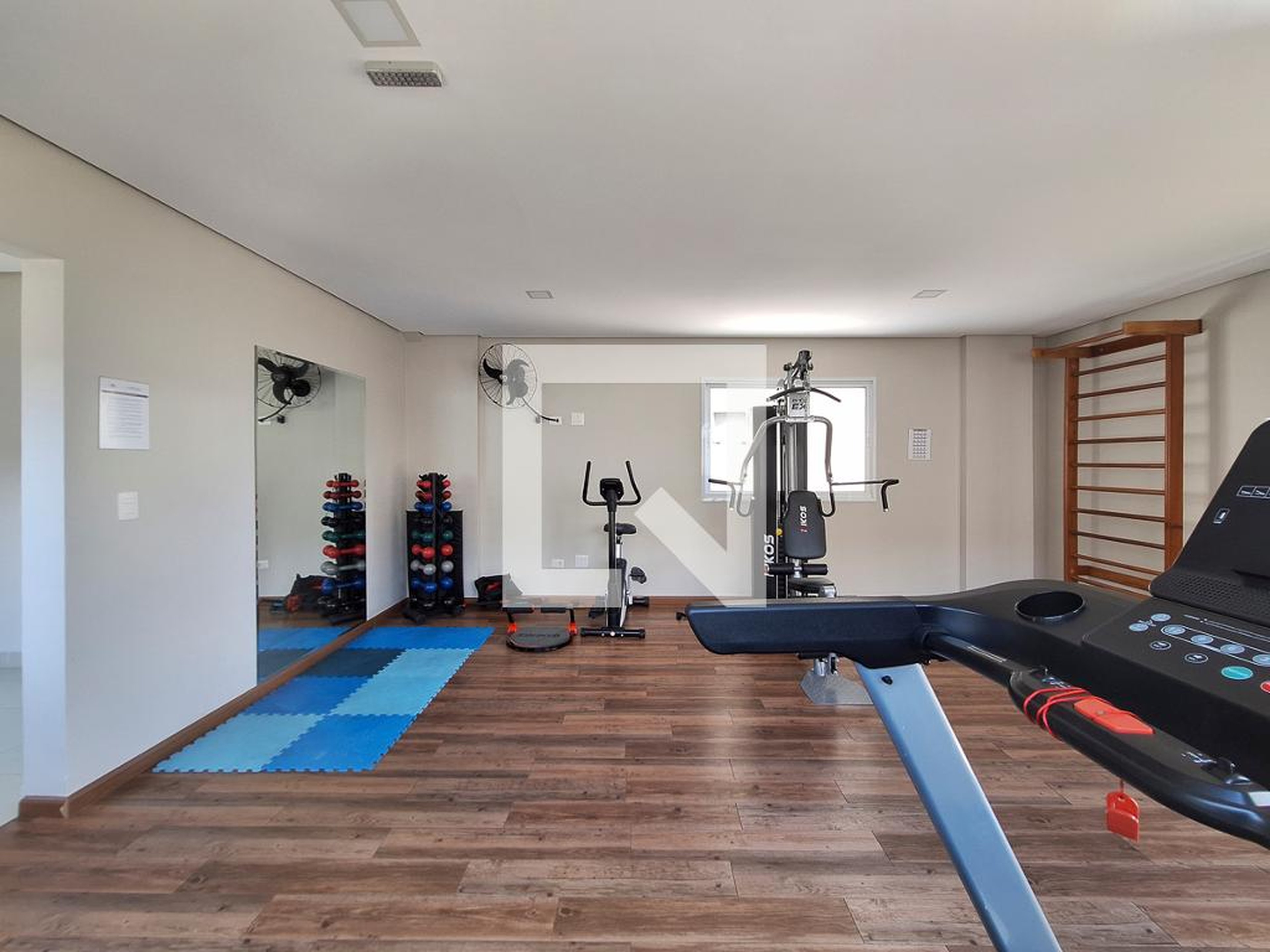 Academia - Viveiros de Castro