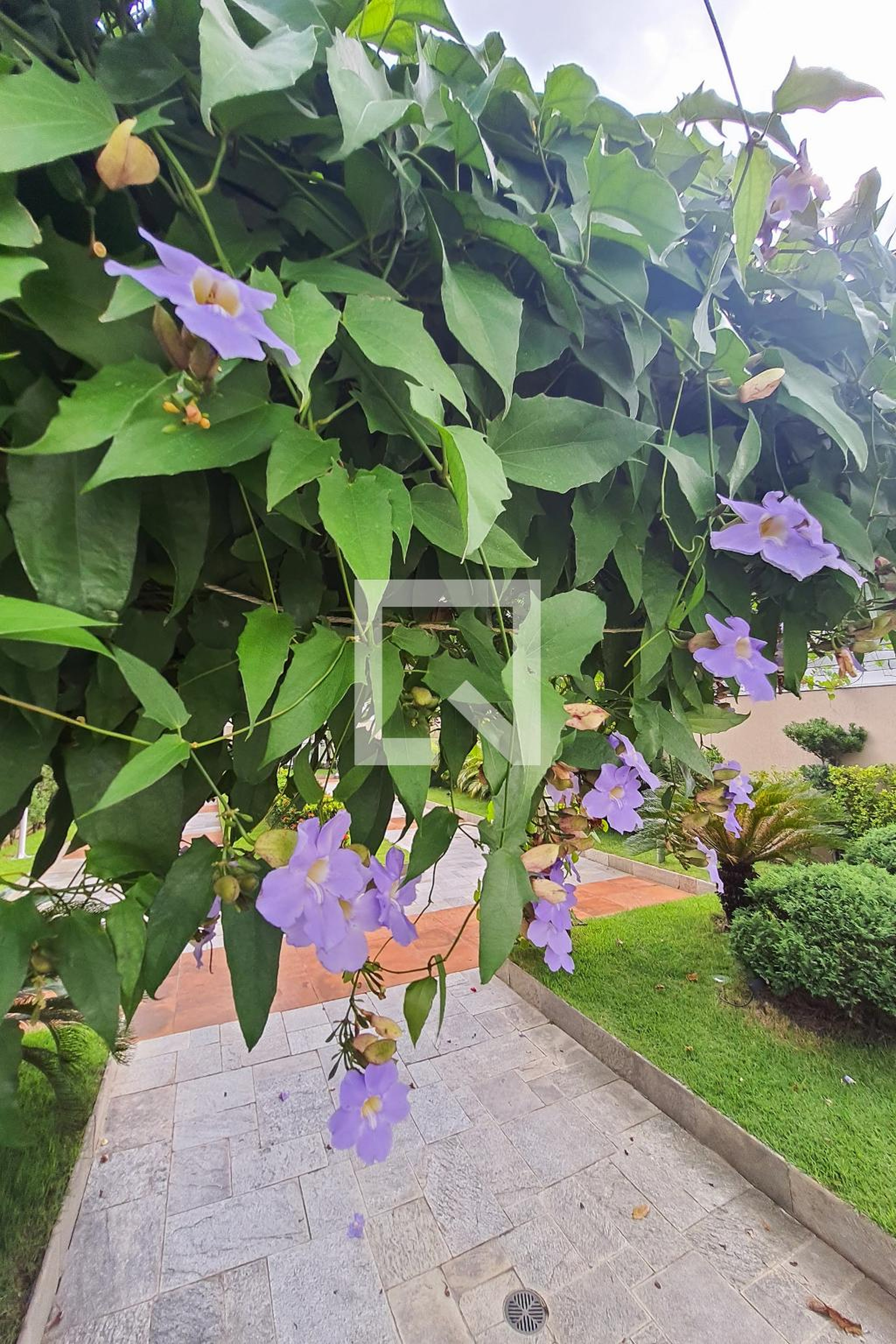 Área comum - Residencial Chácara Inglesa