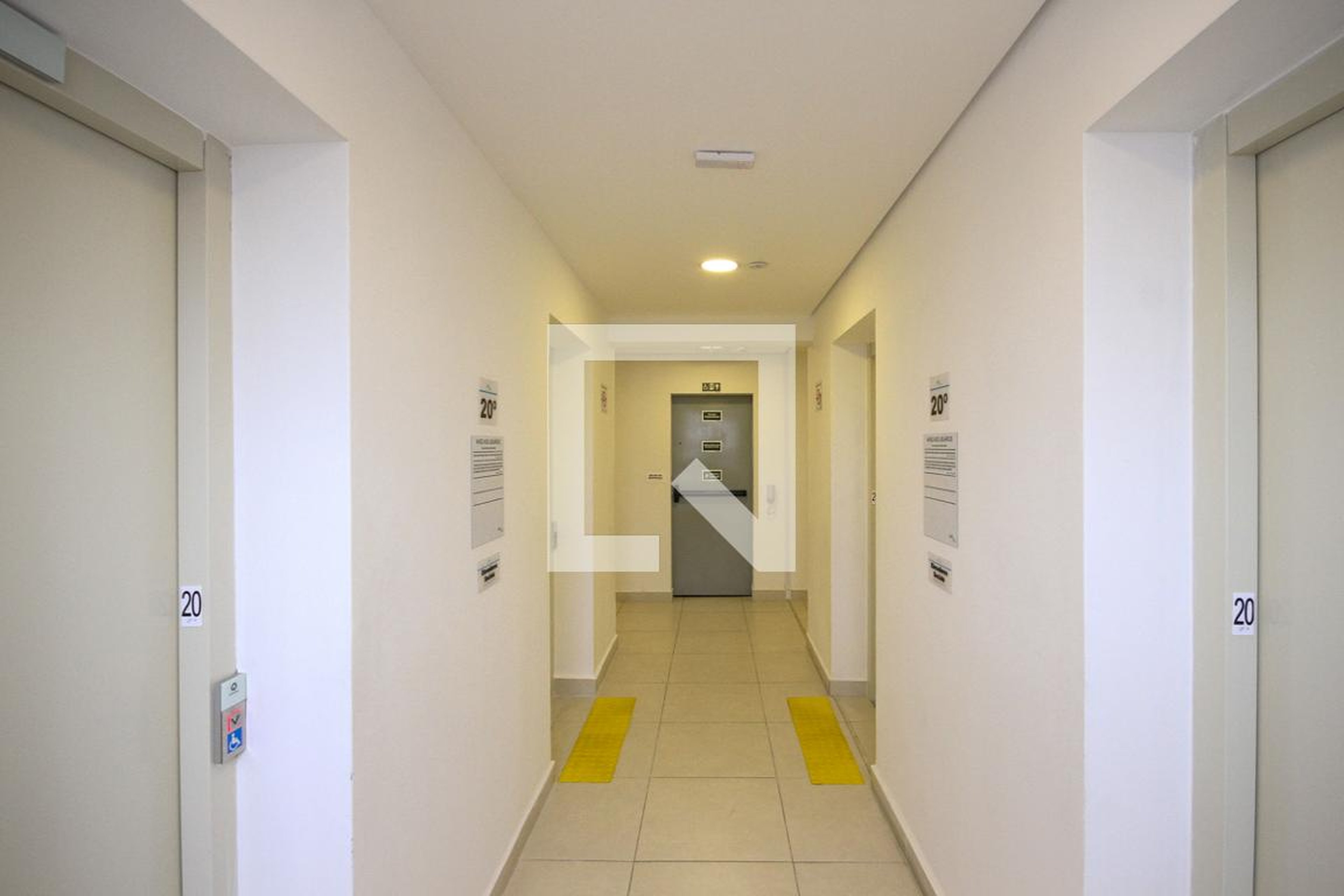 Hall - Avelaneira III