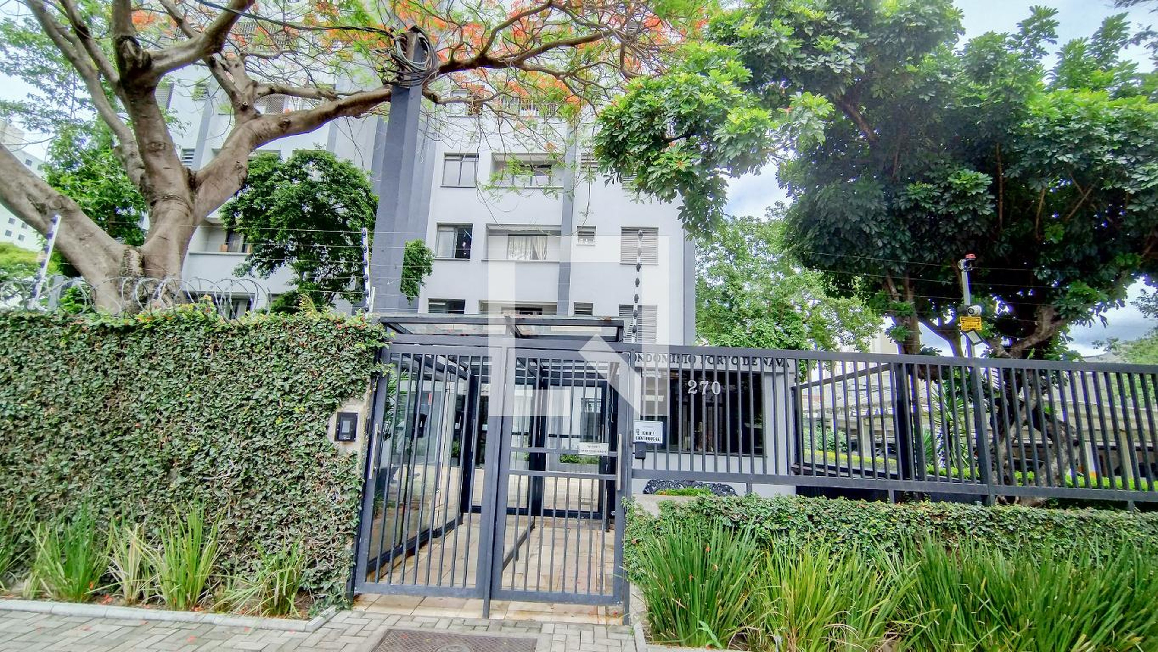 Entrada - Porto Dnava Bras VII