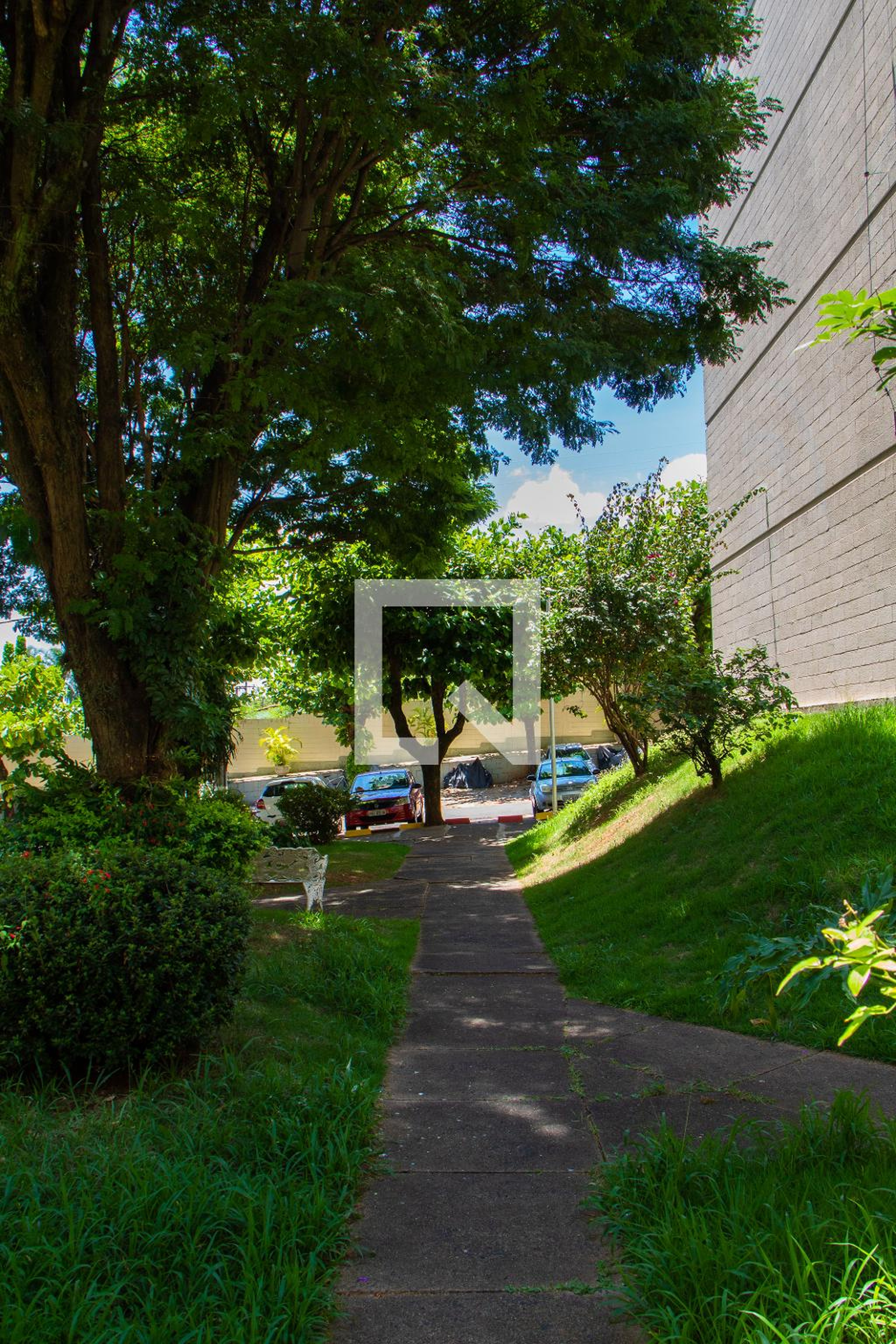 ÁREA EXTERNA - Caesalpinia