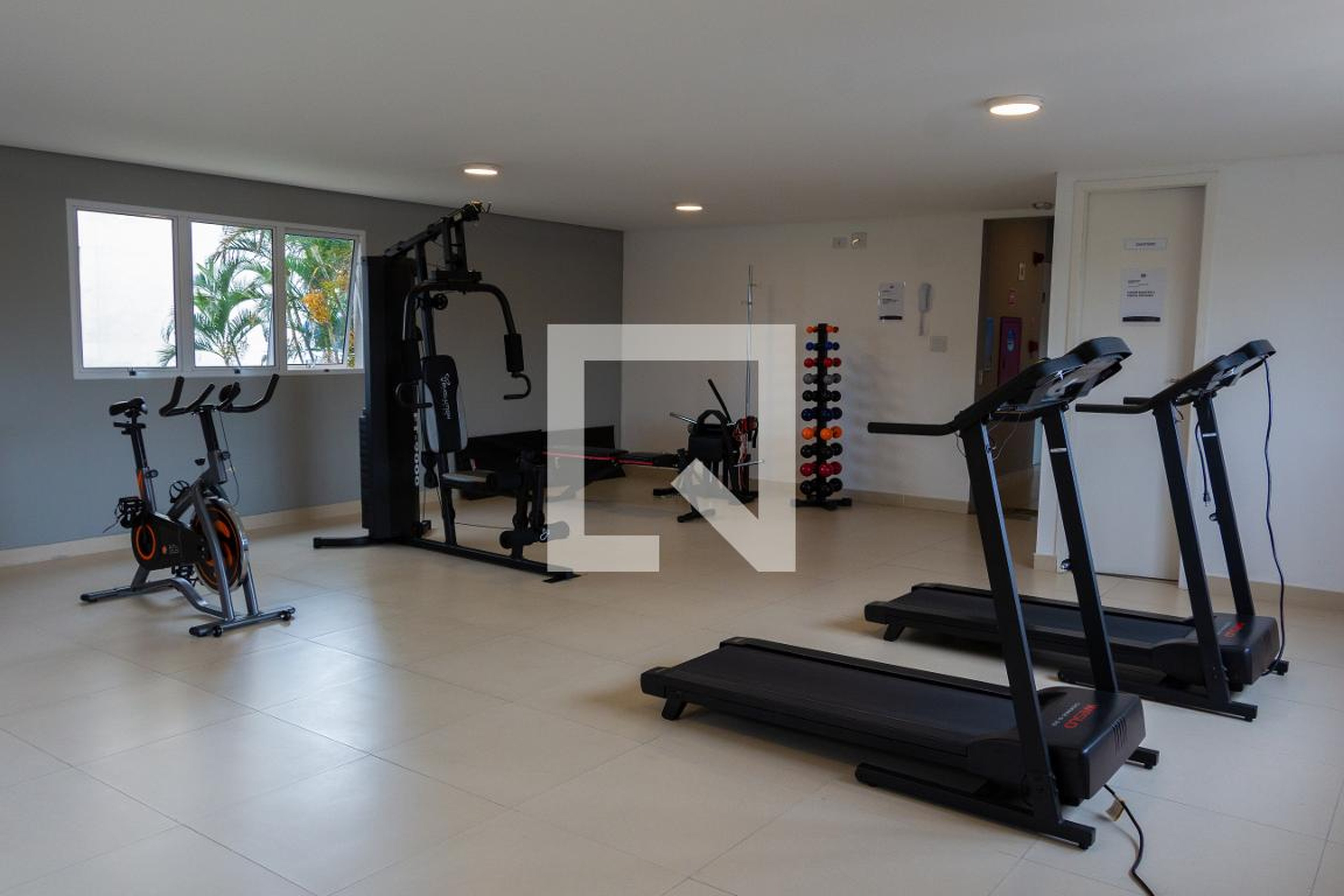 Academia - Bem te vi