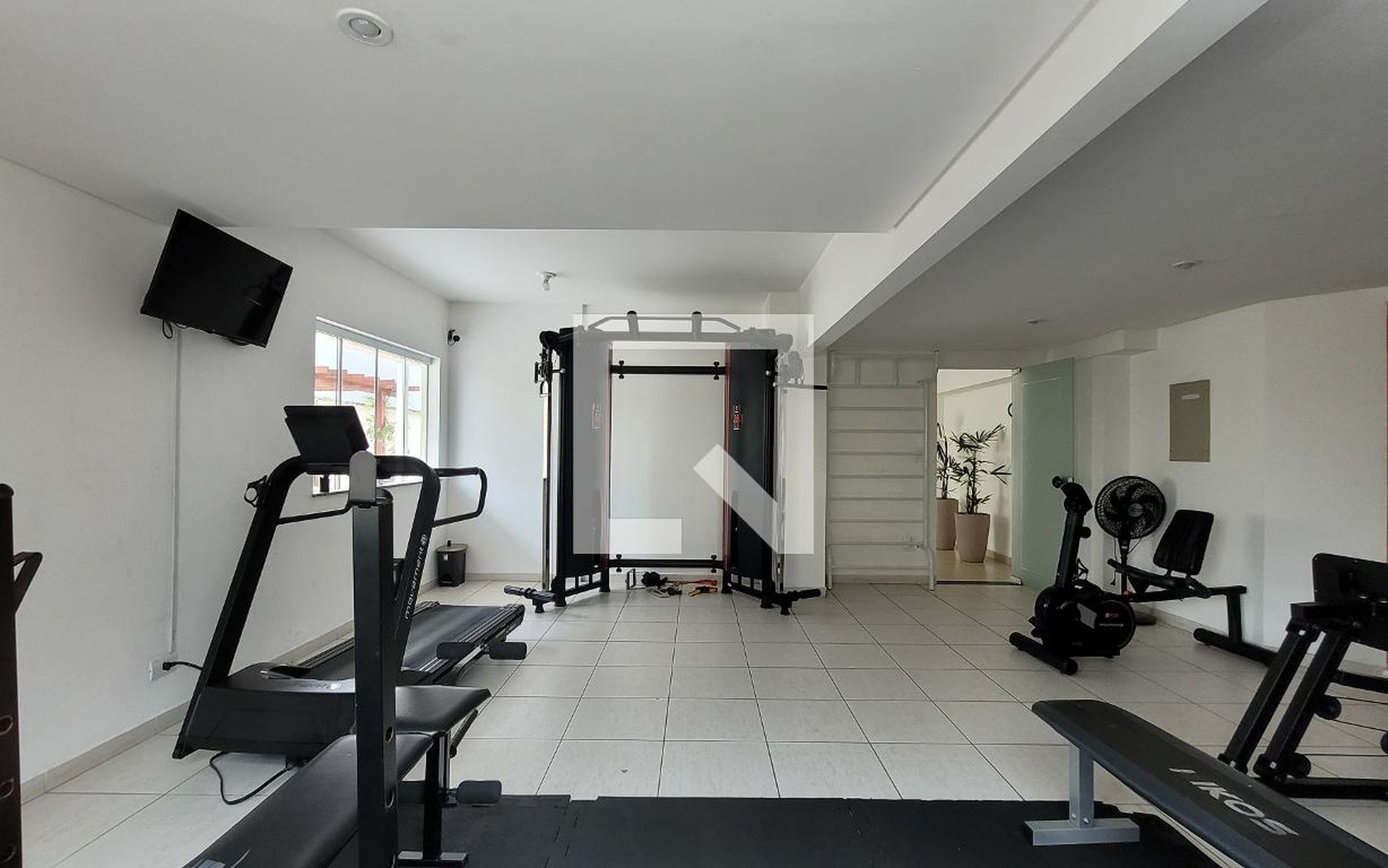 Academia - Ed Daruma