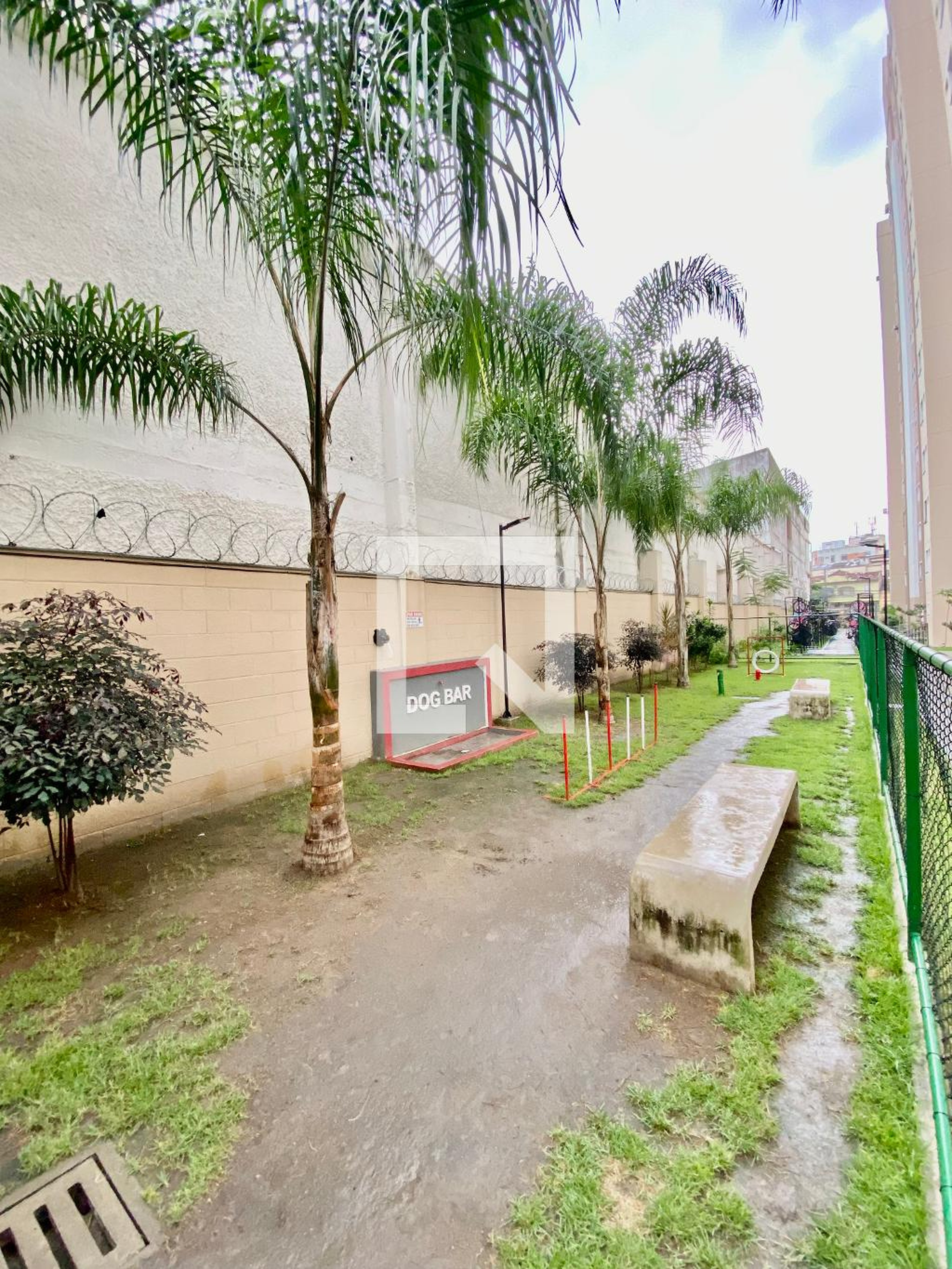 Espaço pet - Dez Bonsucesso