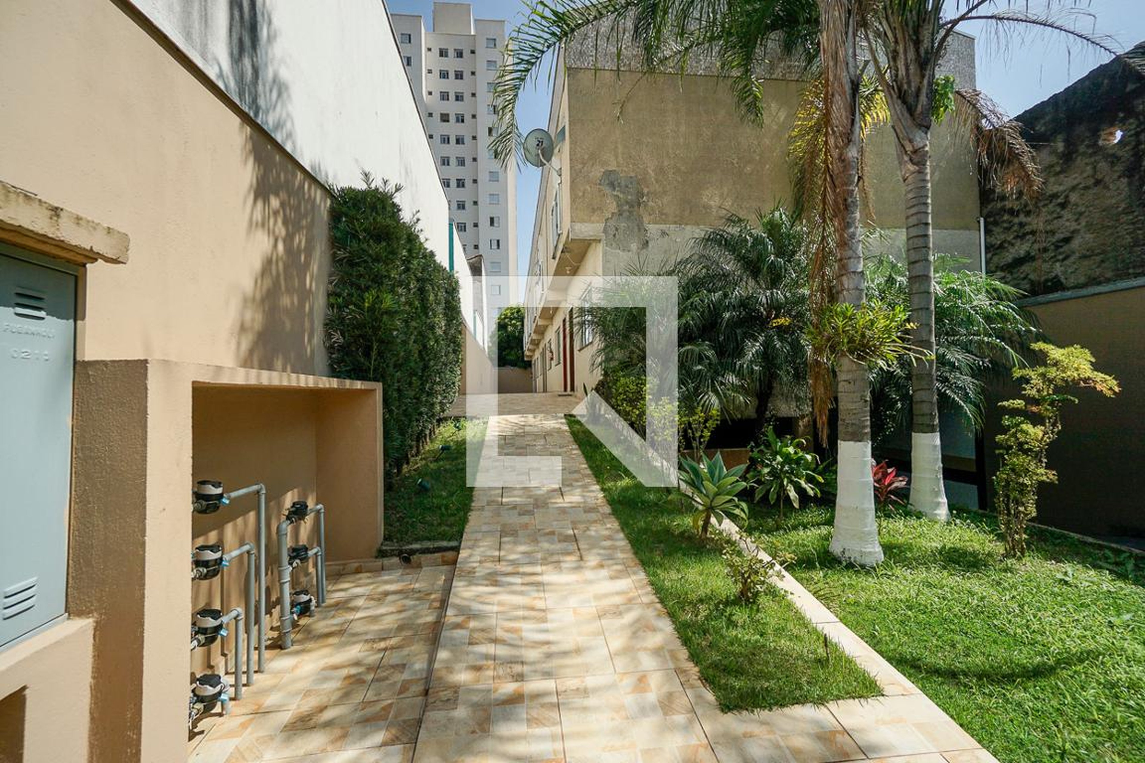 Entrada - Elisabeth Zeggio Miguel