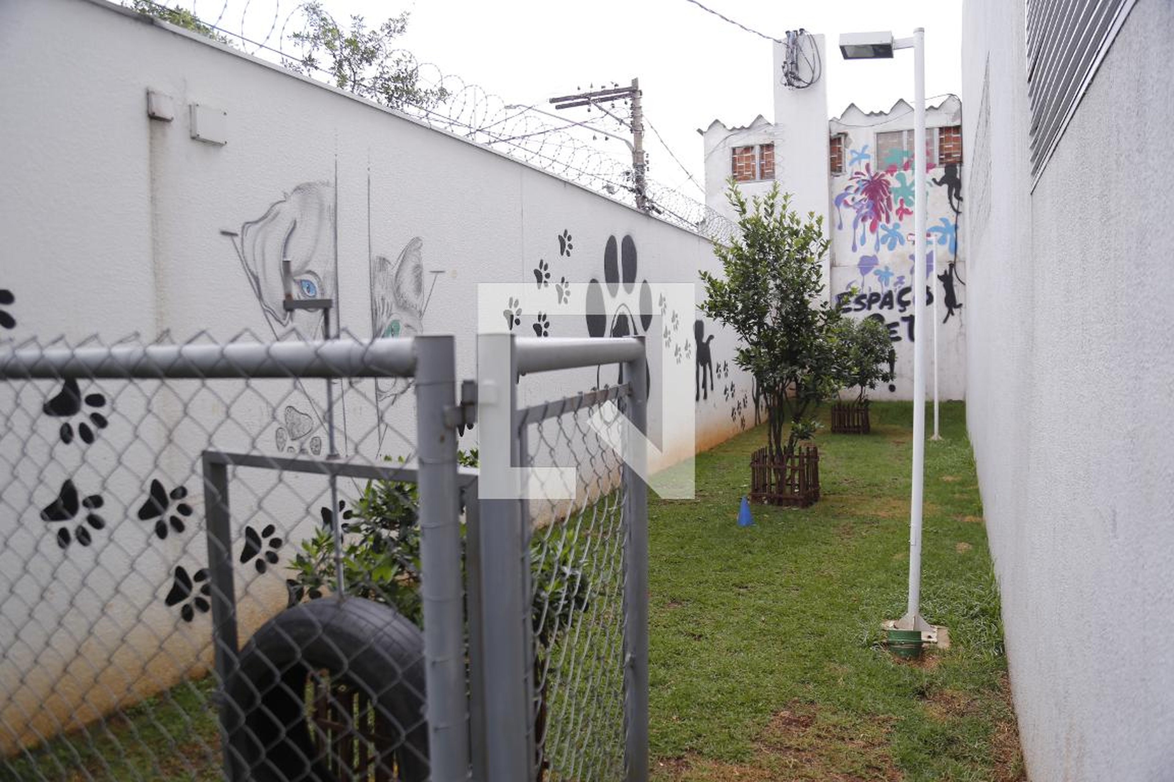 Espaço Pet - Moov Freguesia