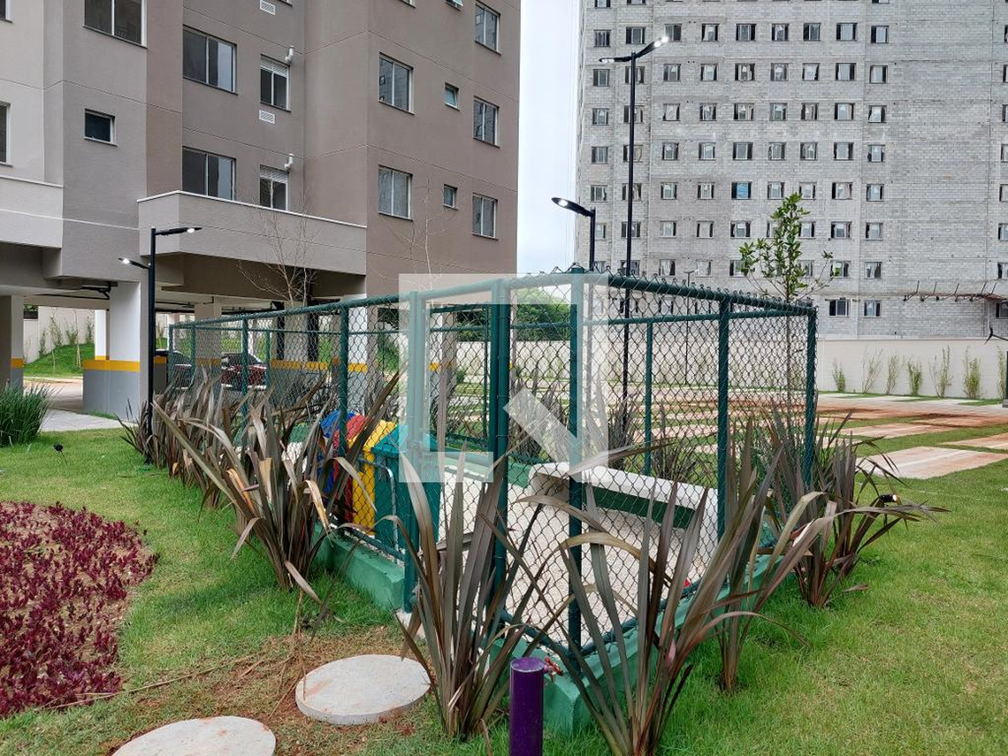 Espaço pet - Dez Miguel Yunes