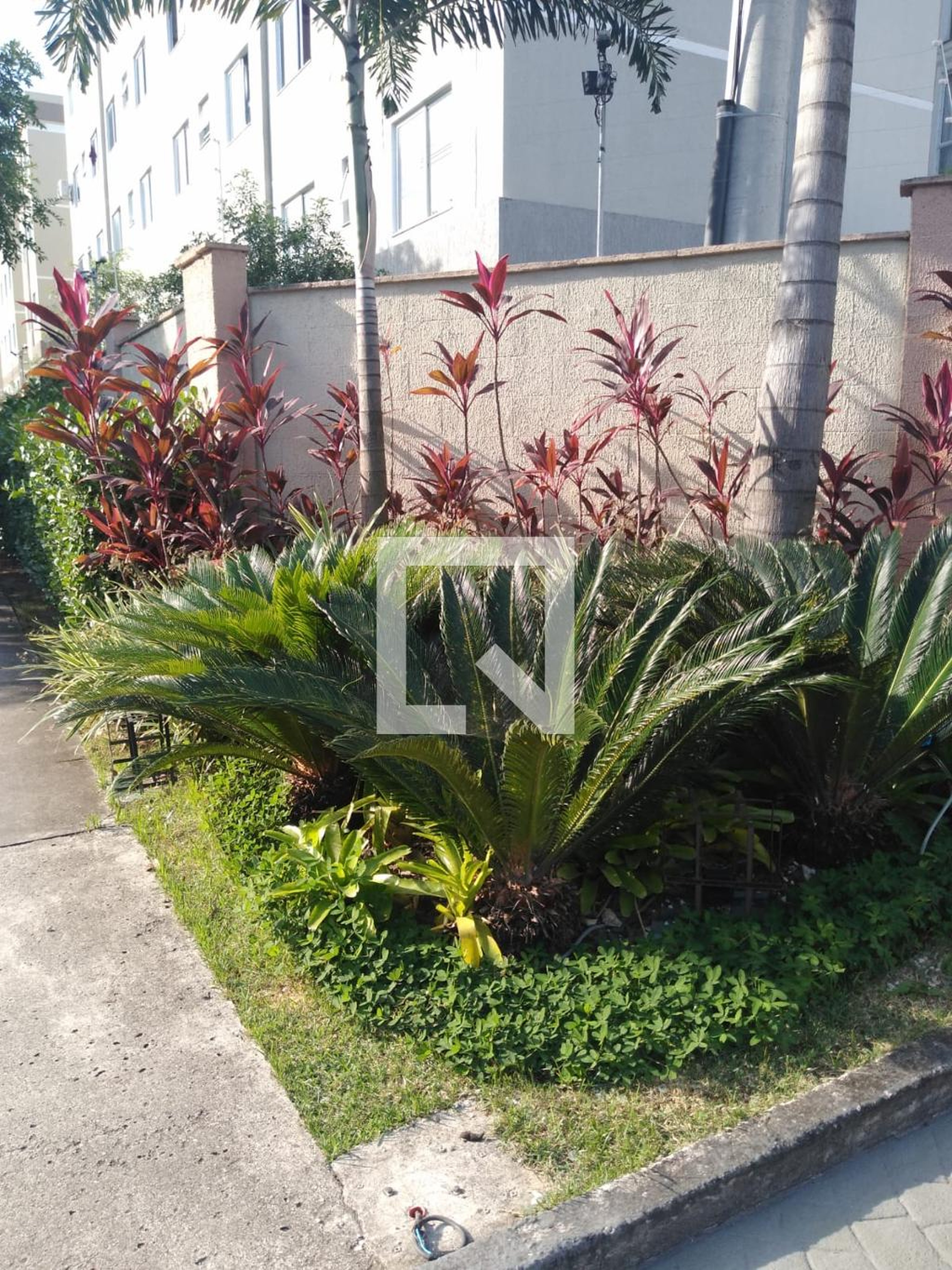 Área externa - Rio Samba