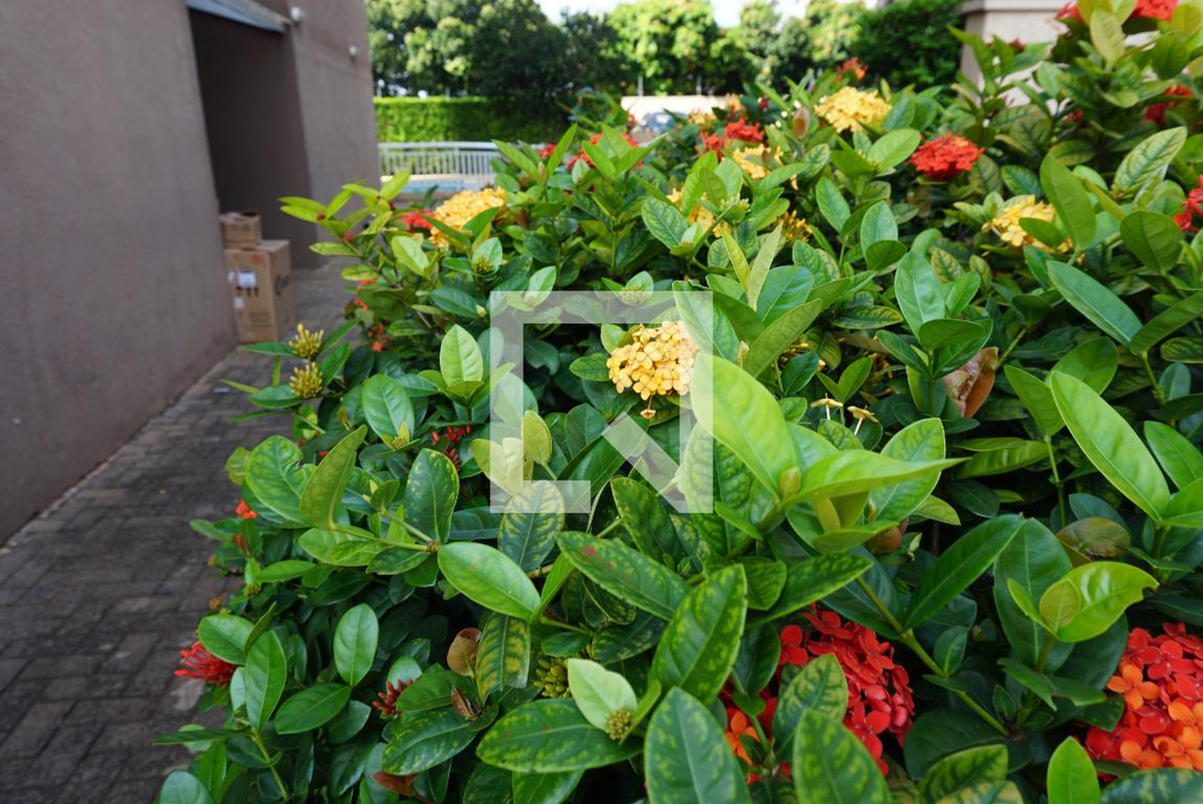 Hall de entrada - Colorê