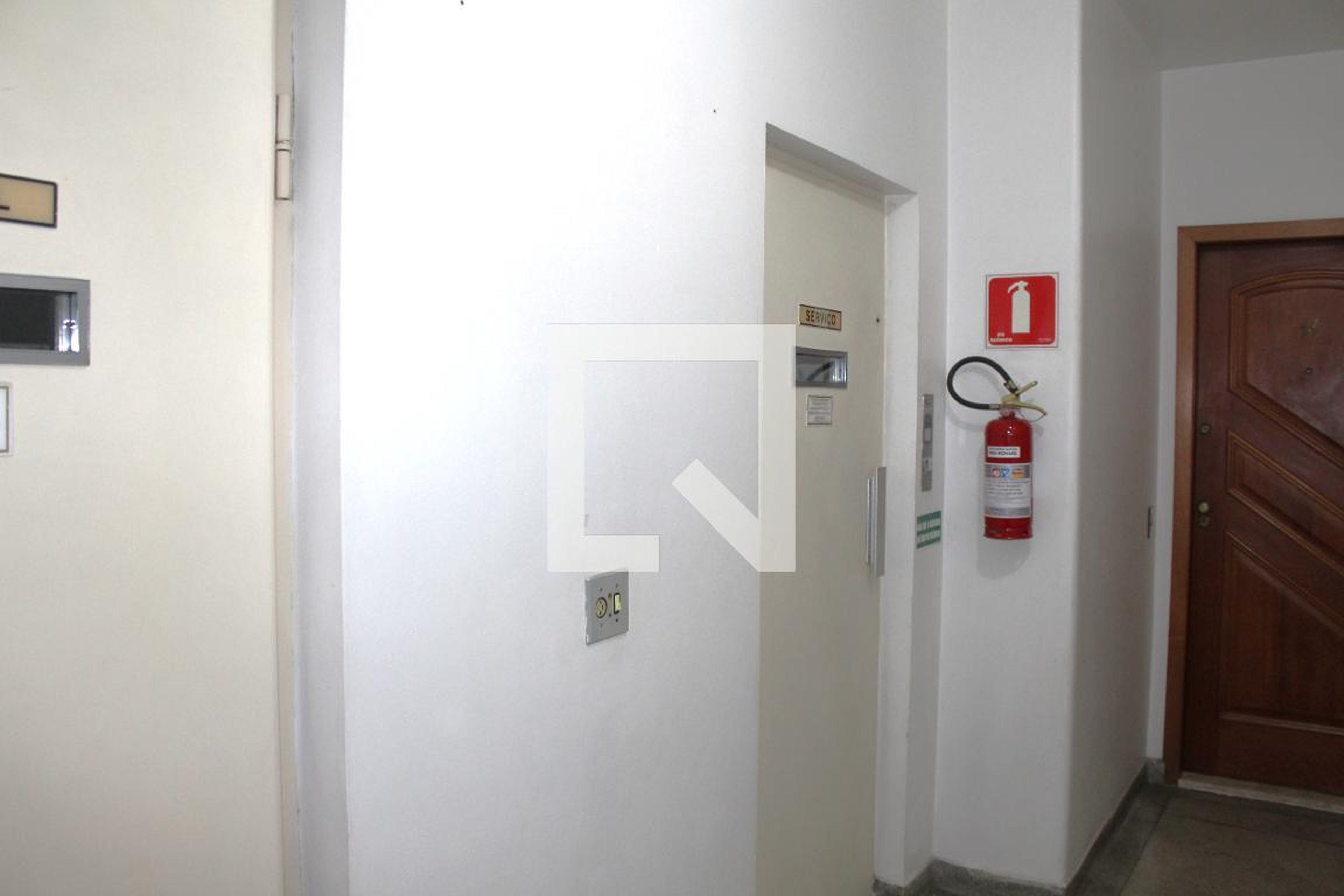 Elevador - King Richard