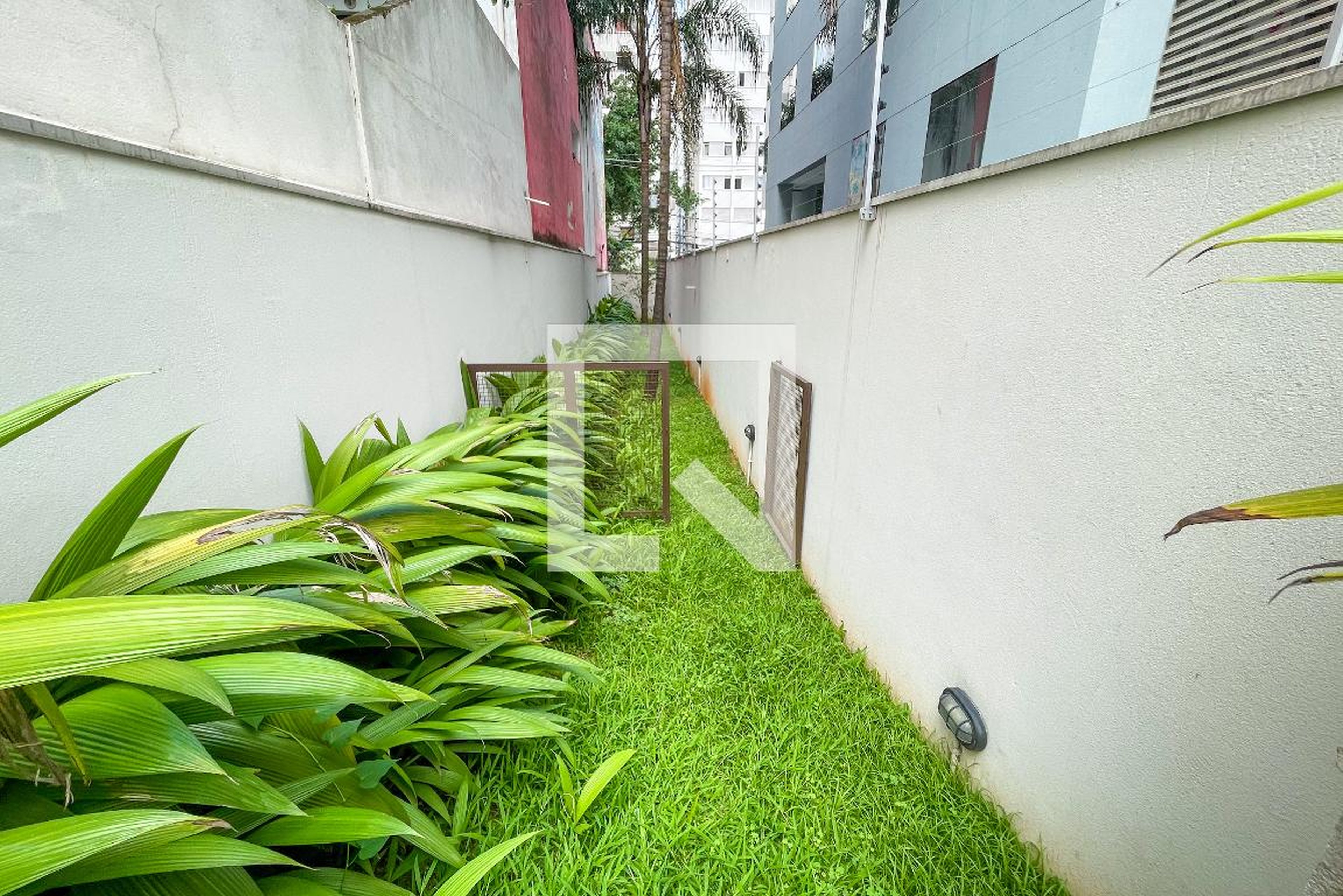 Espaço pet - Option