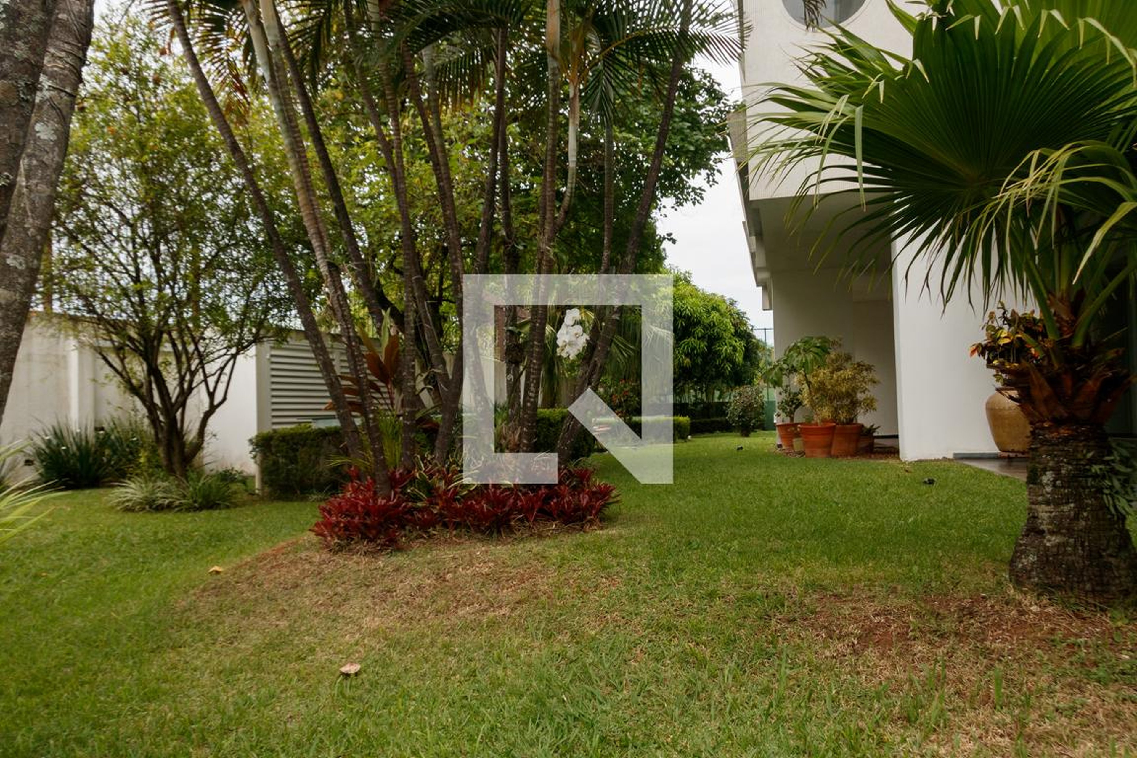 Área comum - Eucalipto