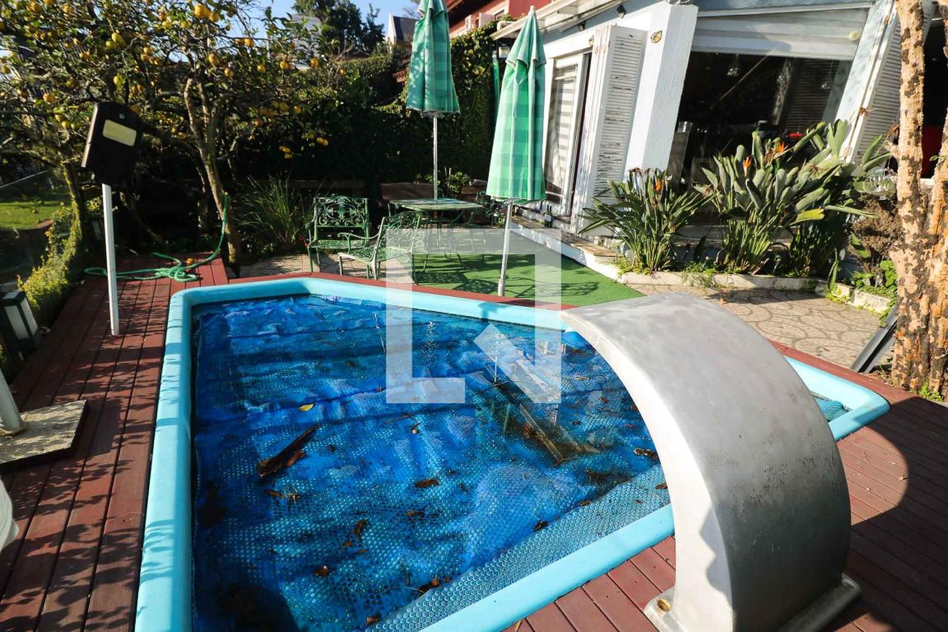 Piscina - Puerto Escondido