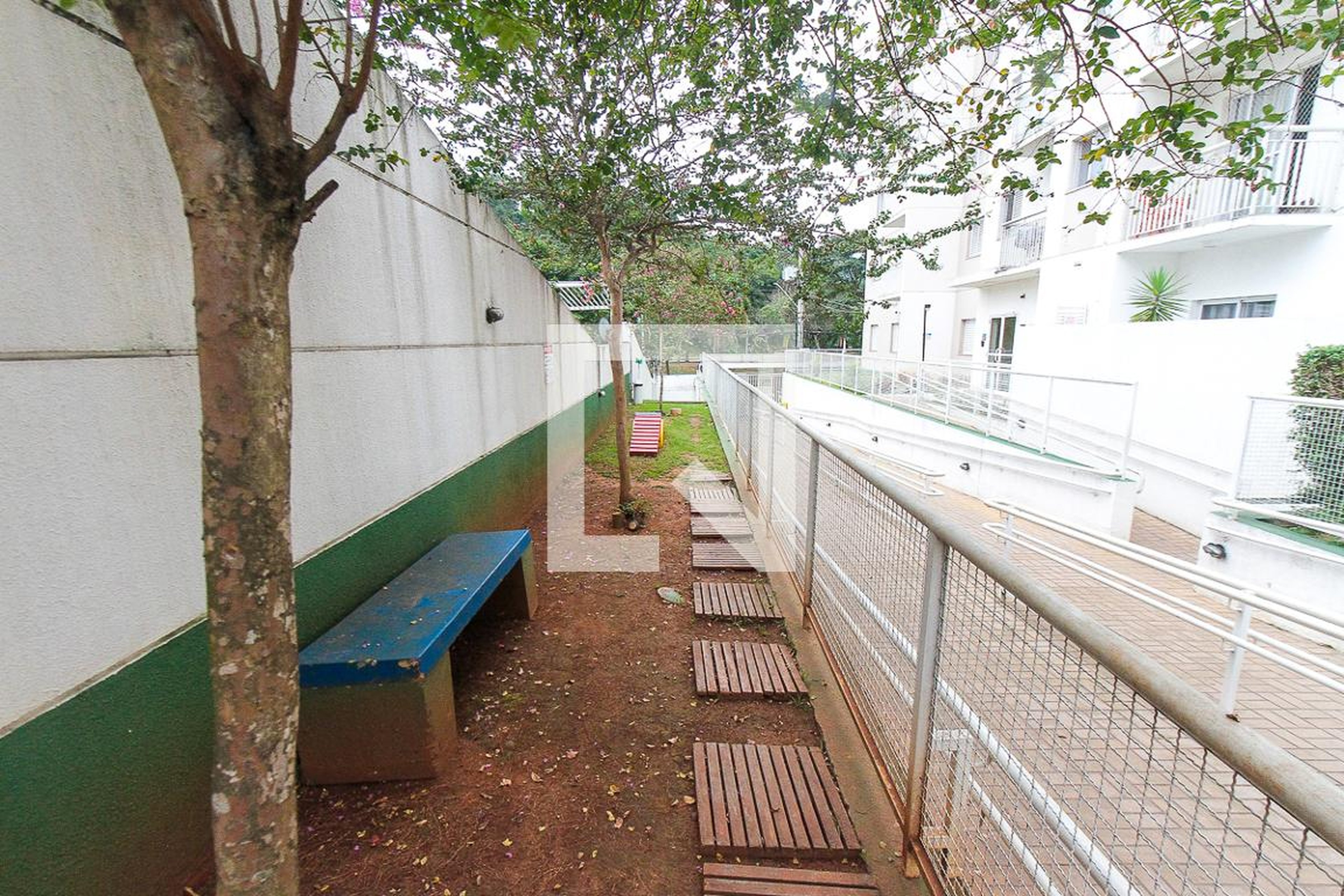 espaço pet - Orquídes Flores