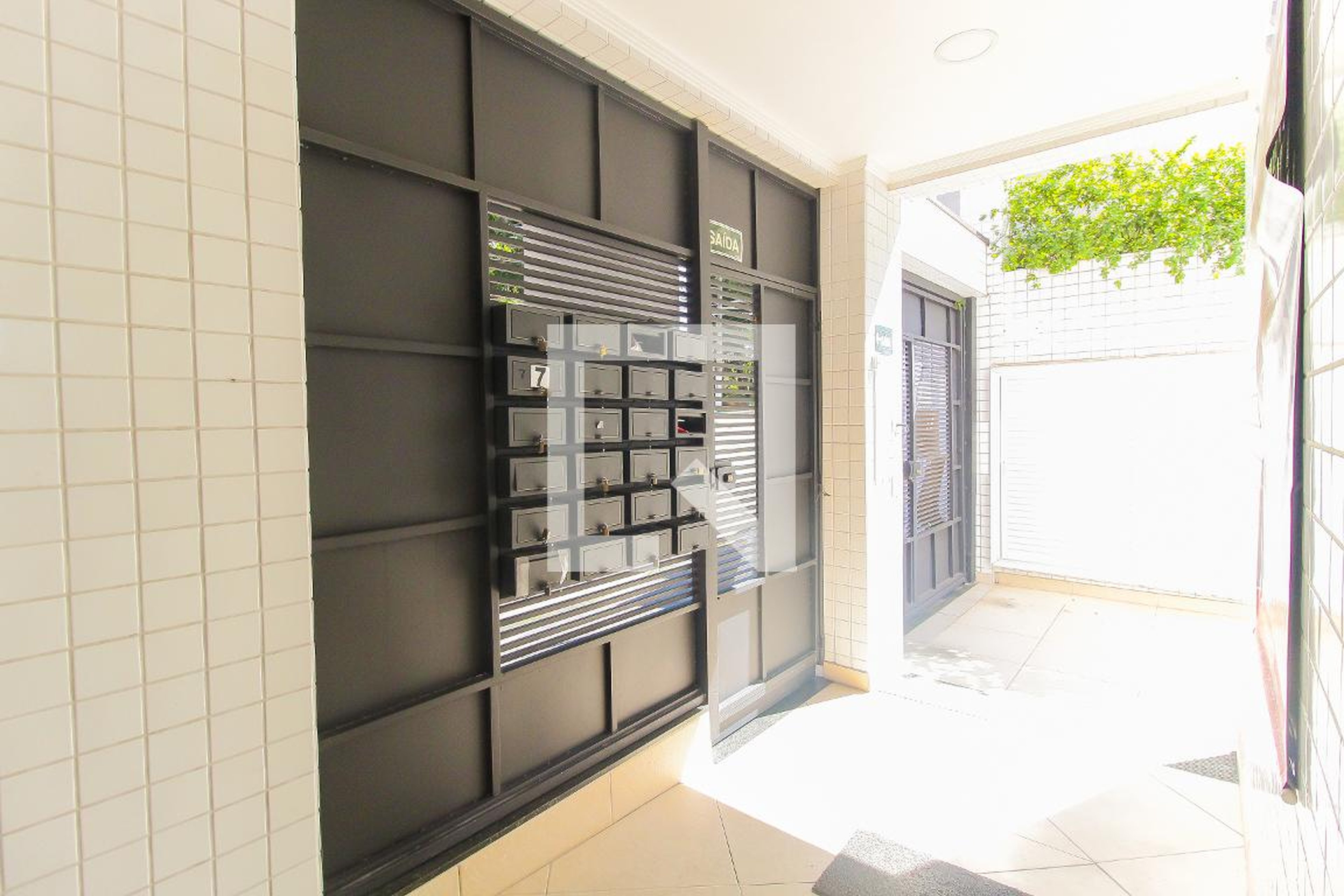 Entrada - Belvedere 2