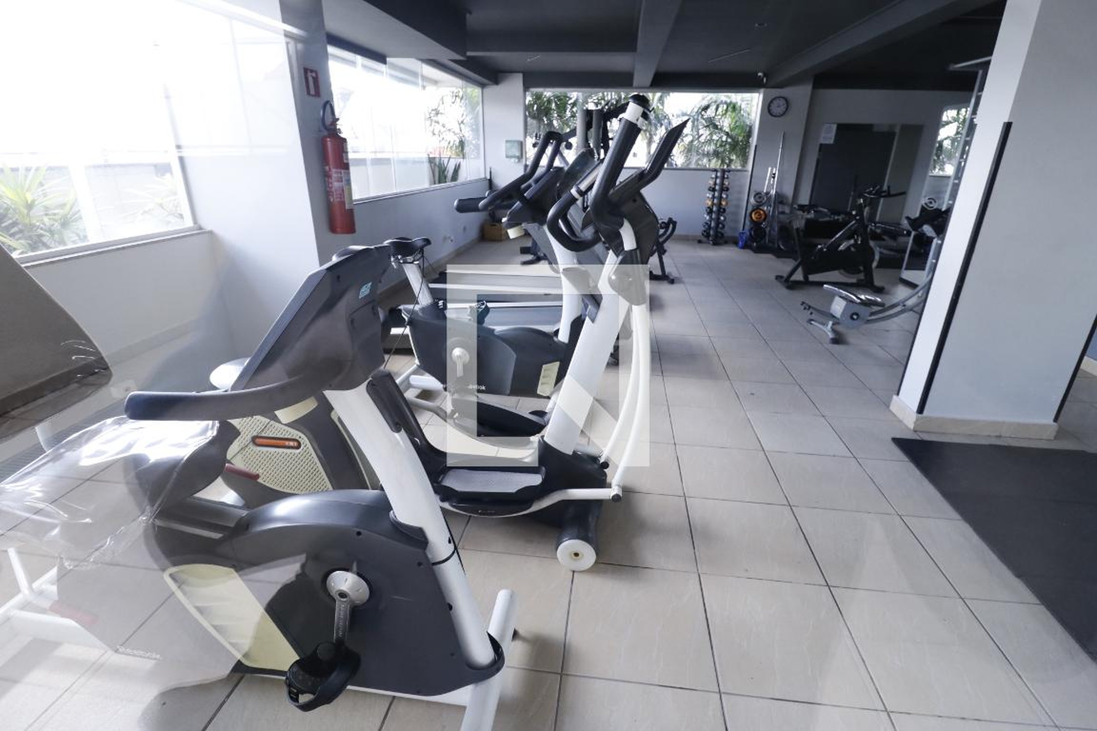 Academia - Primavera