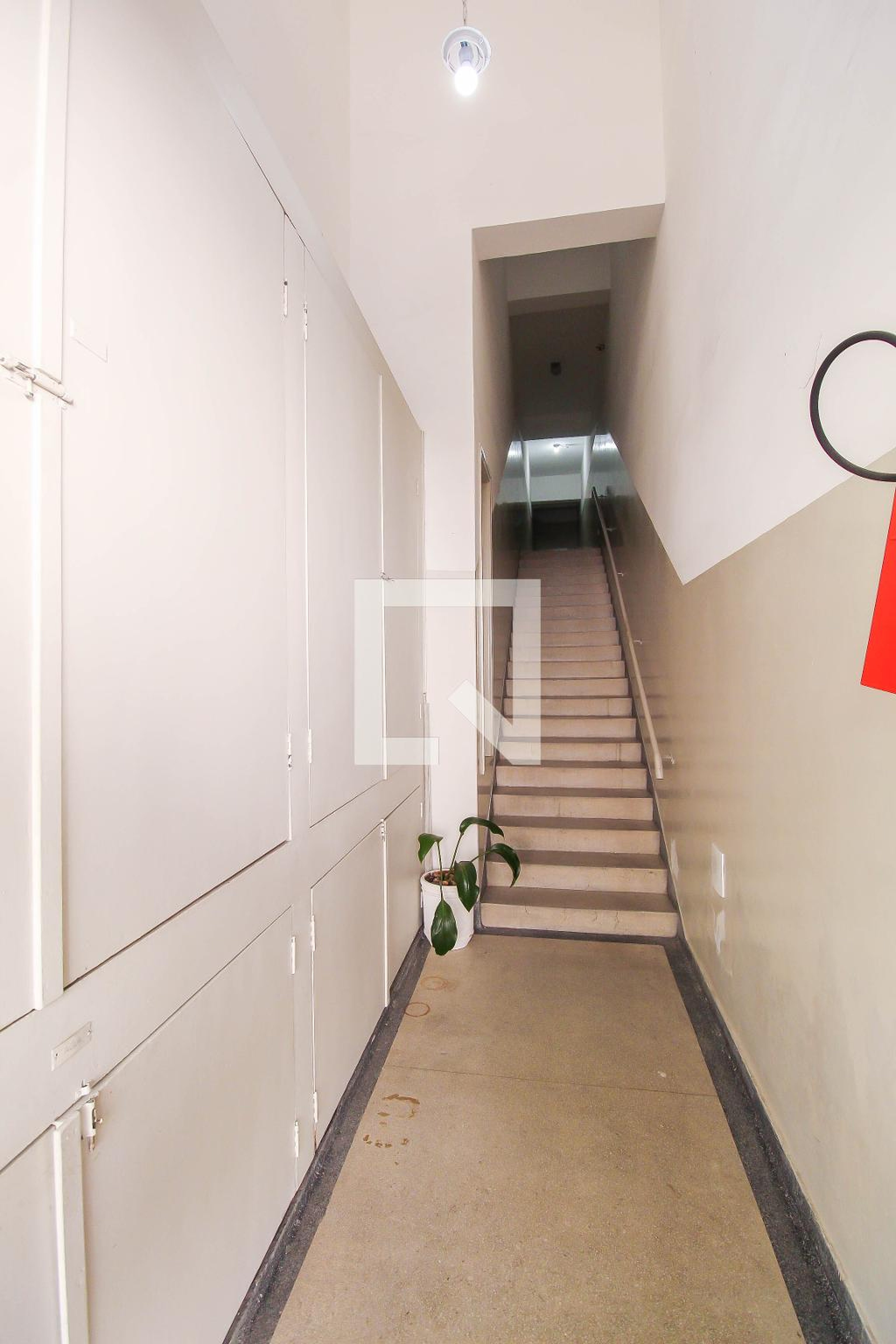 Entrada - Mario Fama