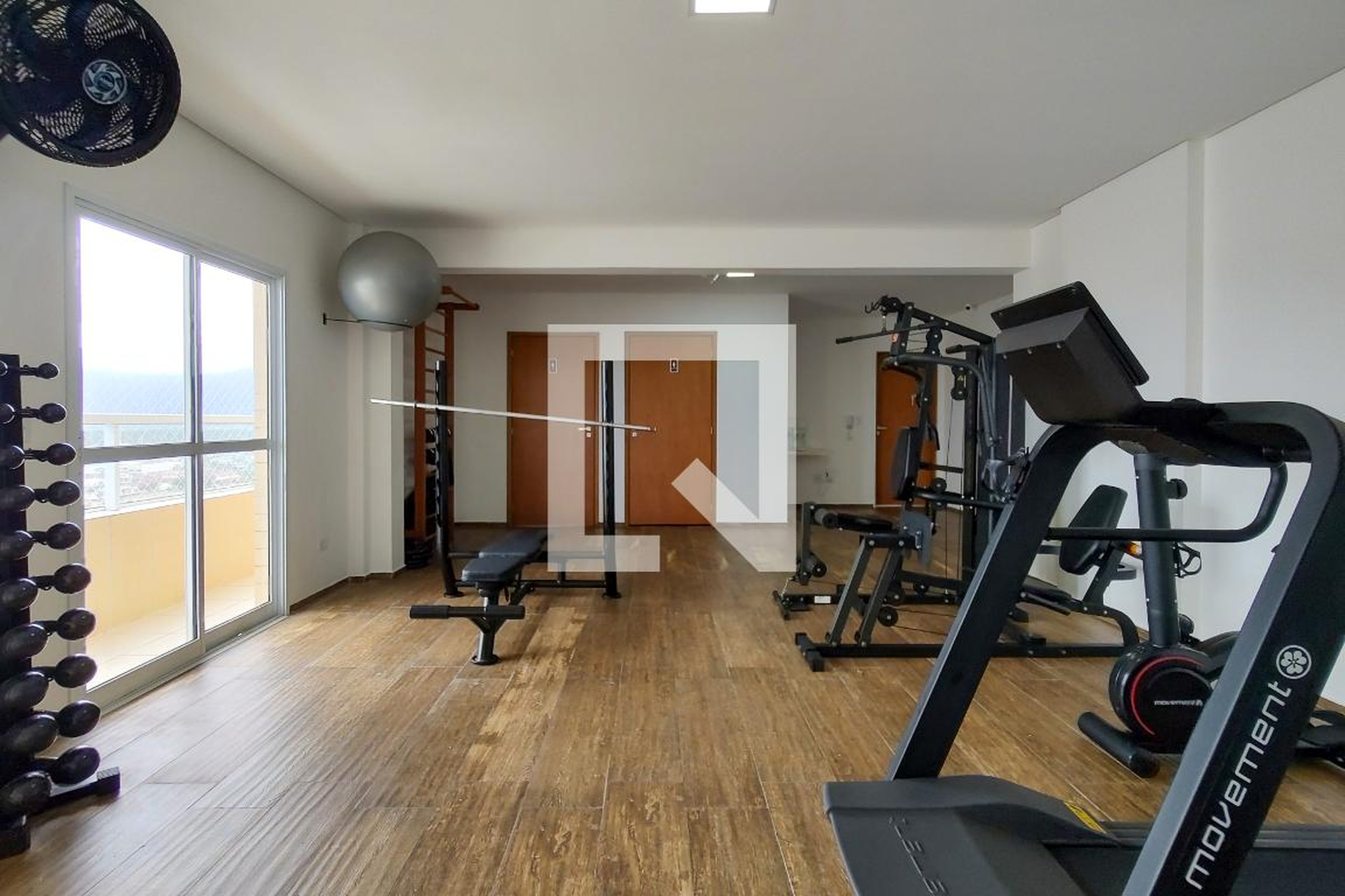 Academia - Melissa Miyazi