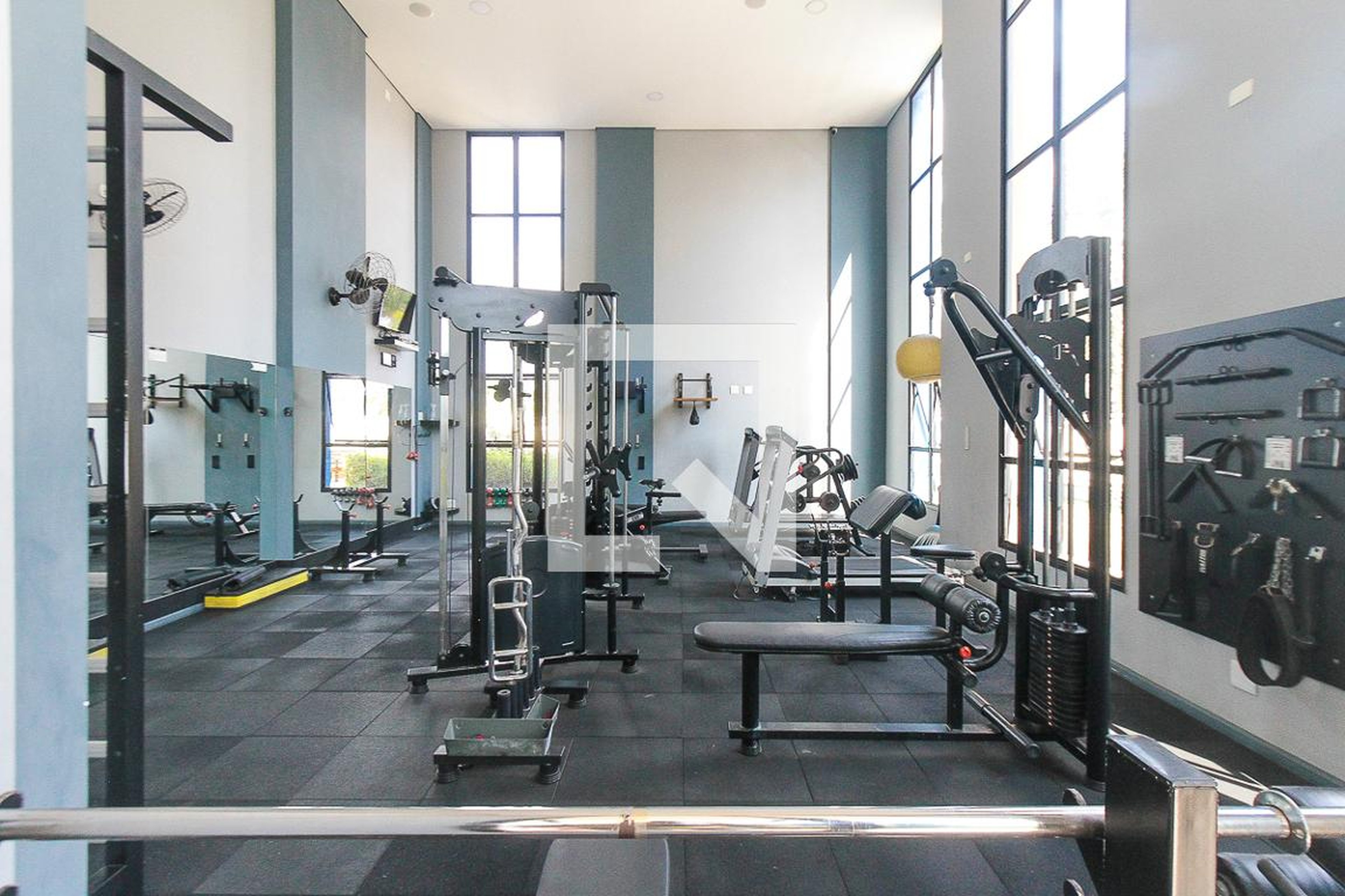 Academia - Royal Park