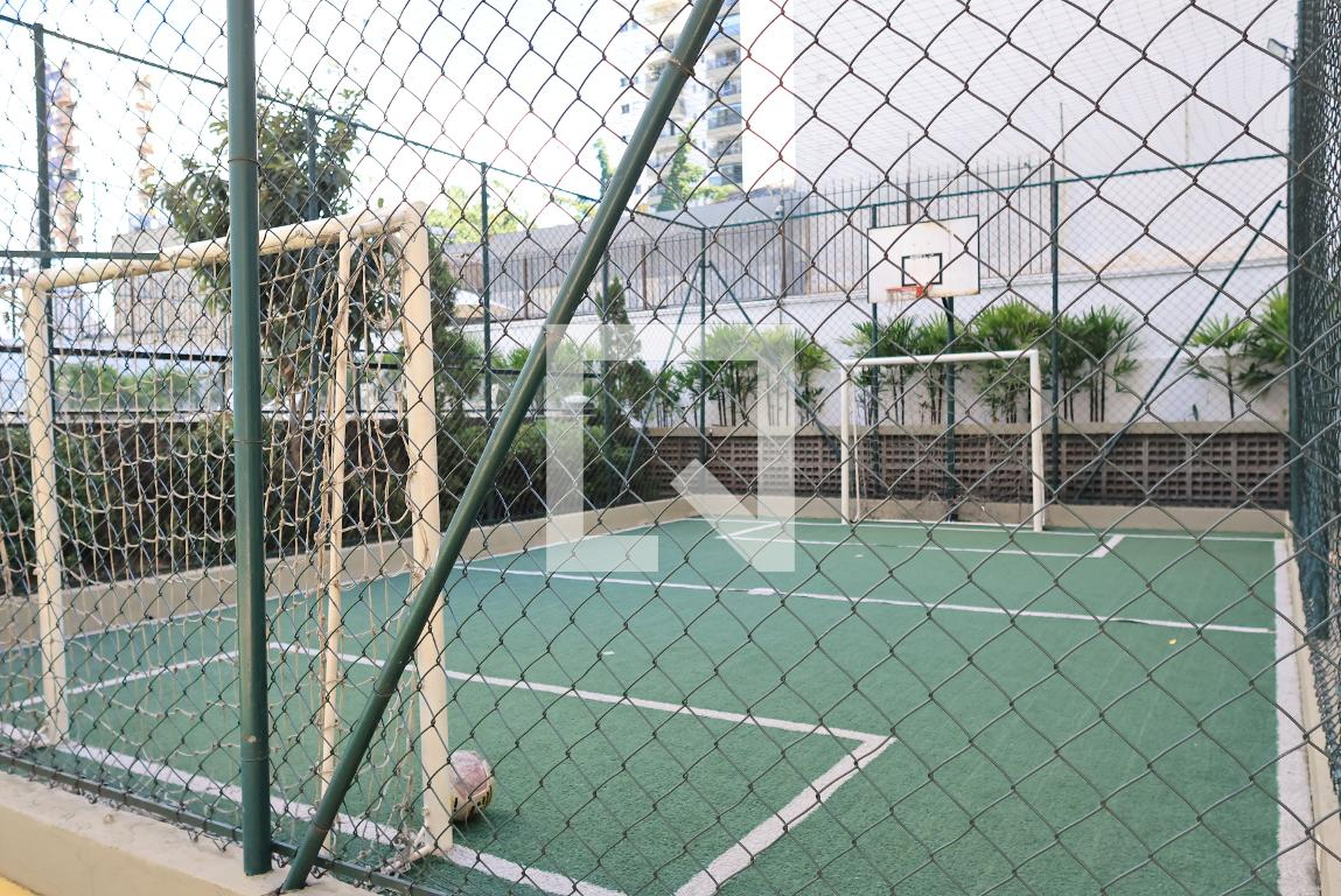 Quadra Esportiva - Golden Bird