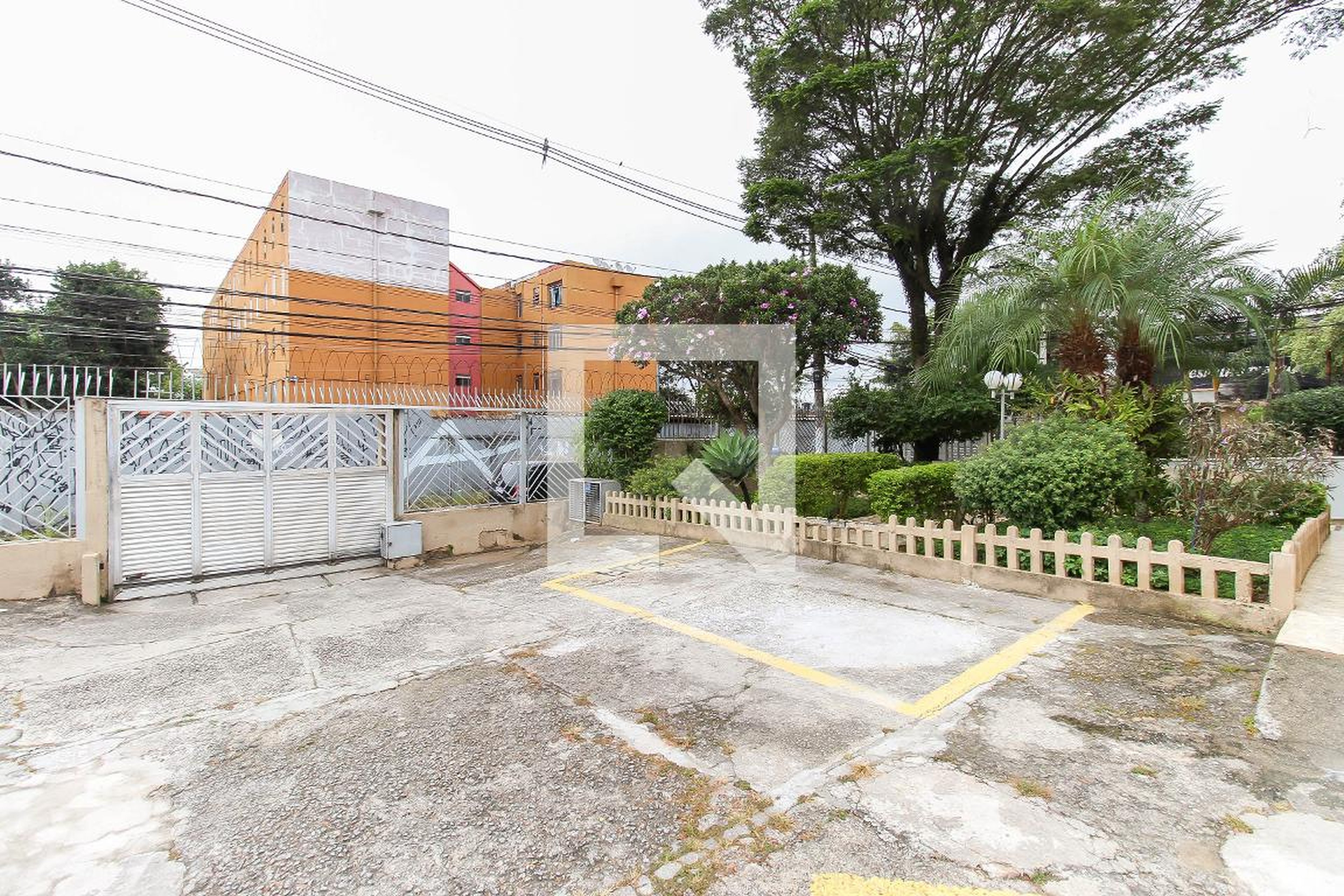 Entrada - Platanos I