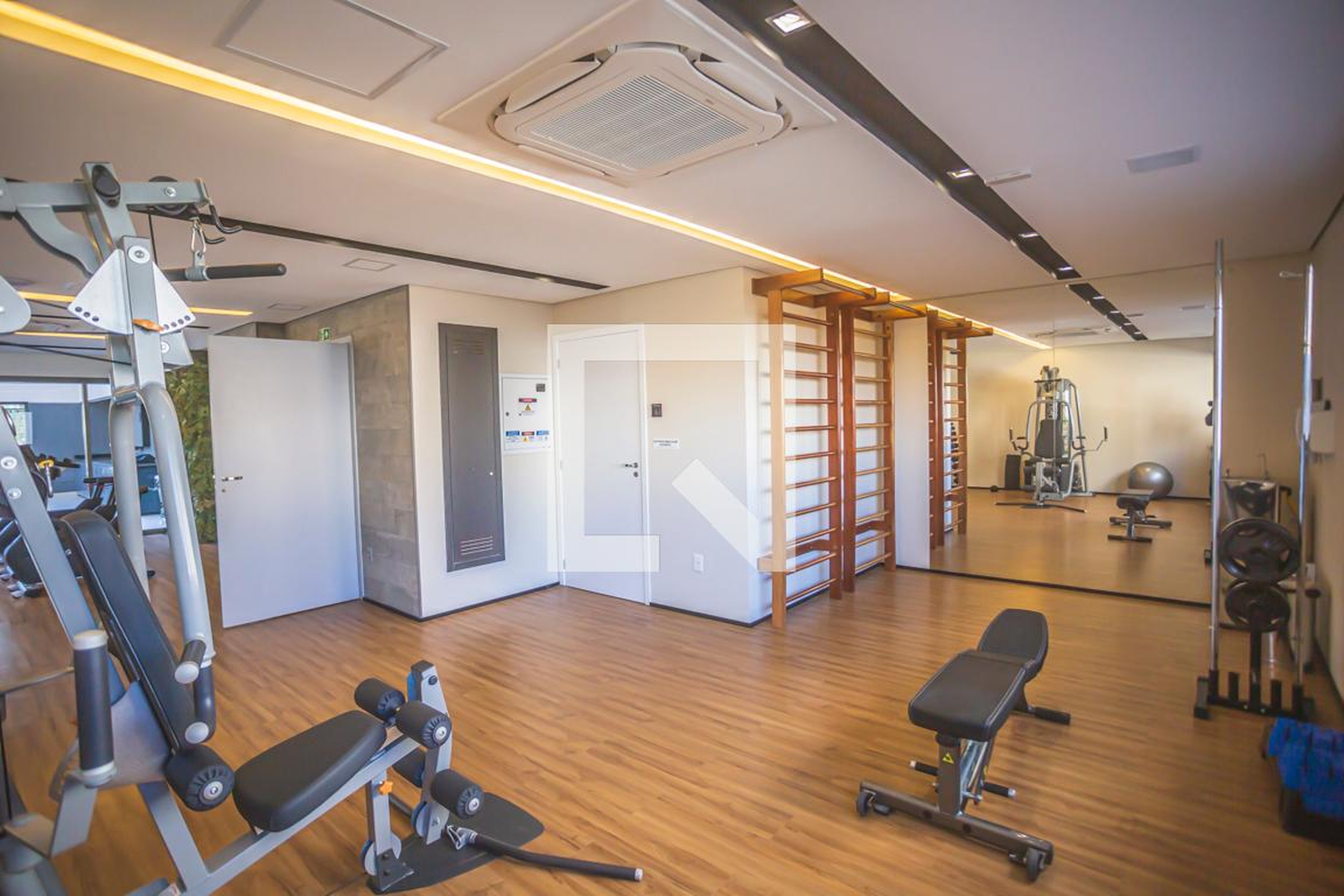 Academia - On Loefgreen