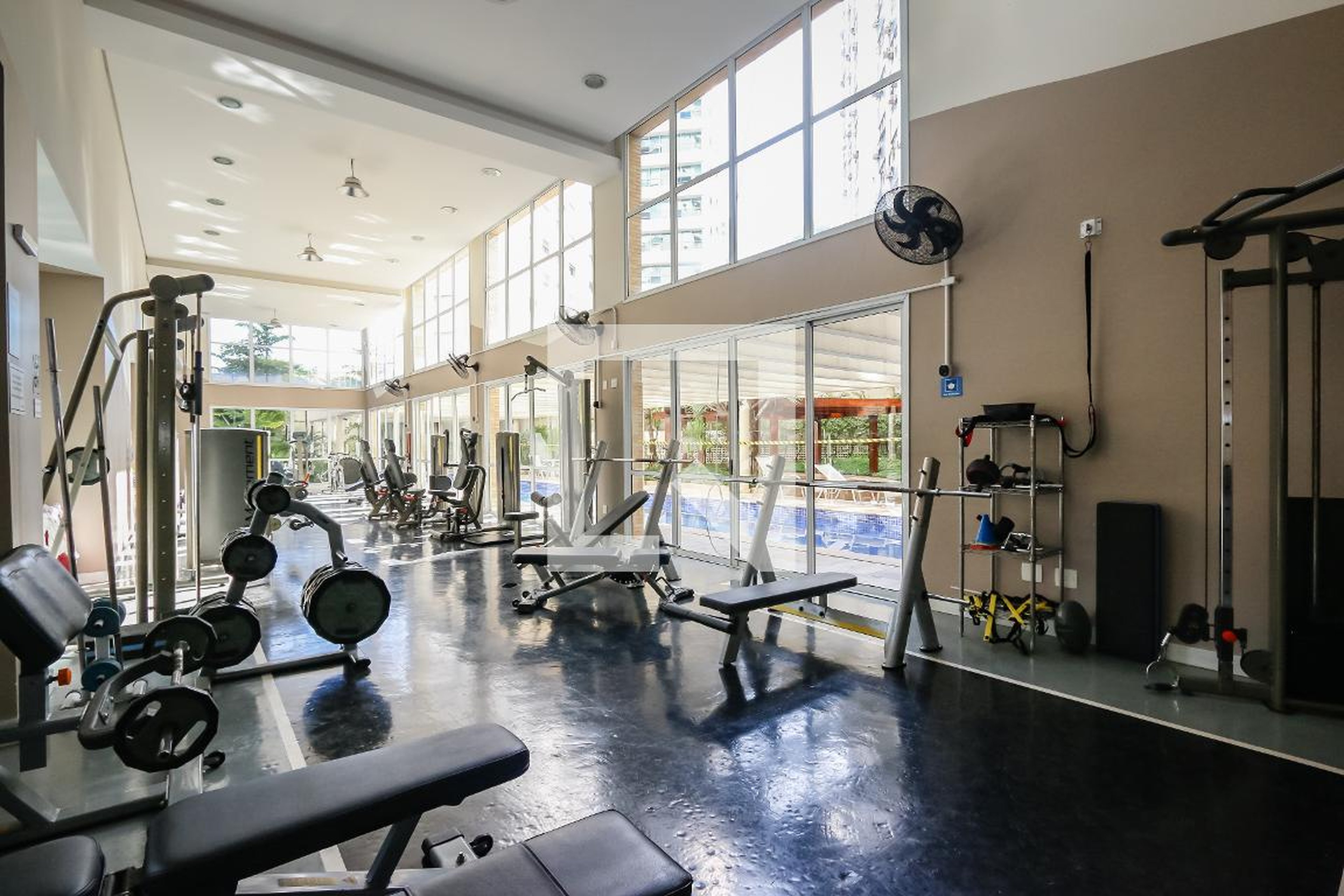 Academia - Ed. Elizabeth