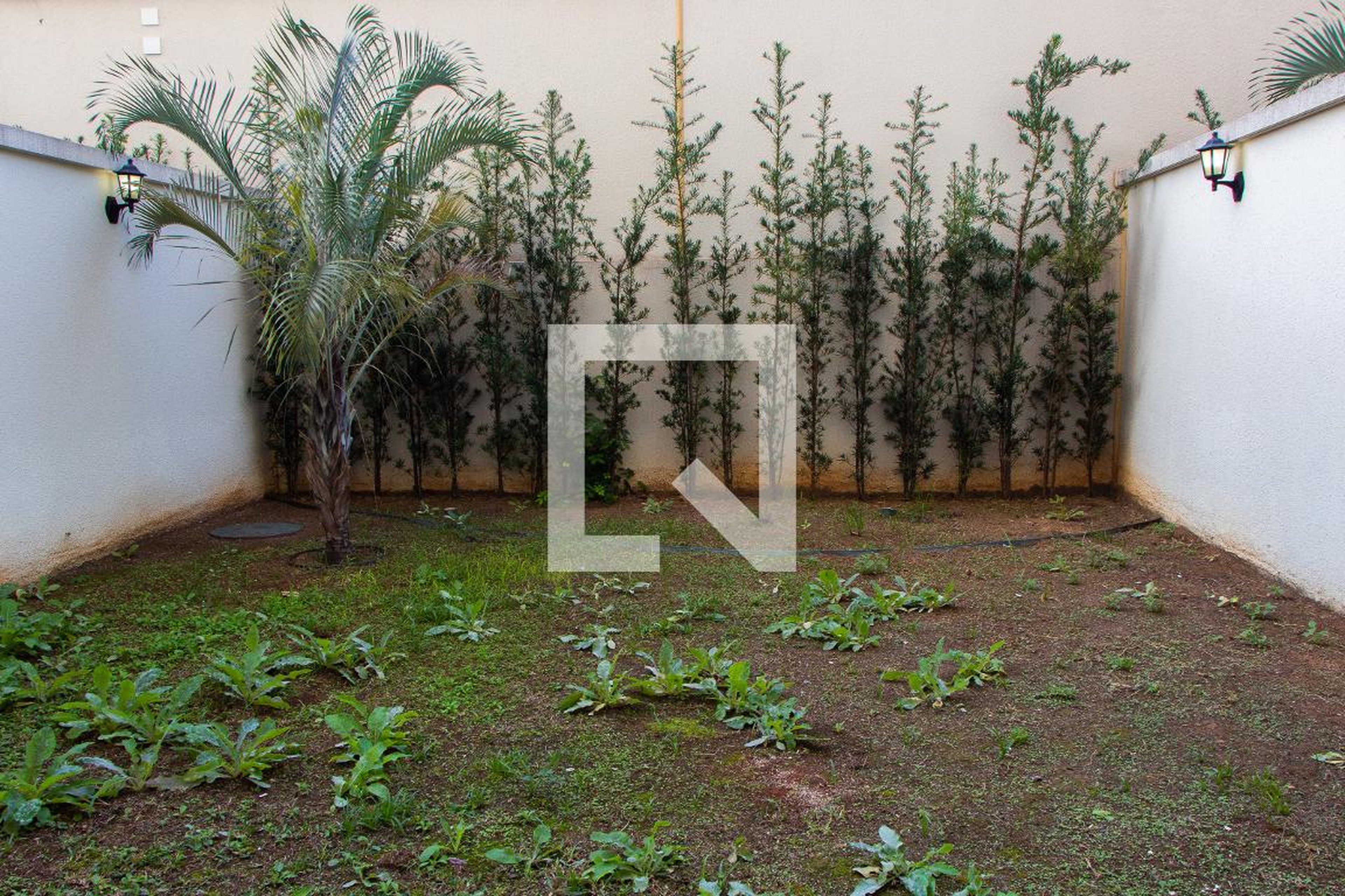 ÁREA EXTERNA - Sunny Patriani