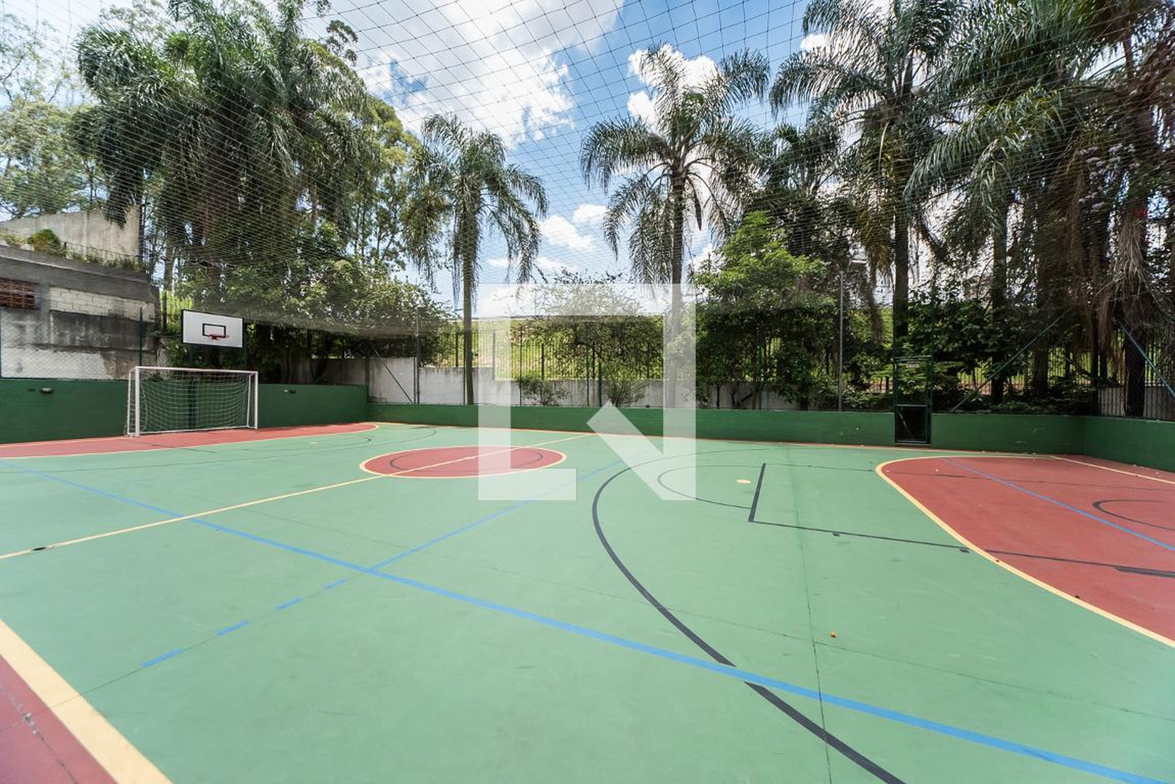 Quadra - Palmeira Imperial