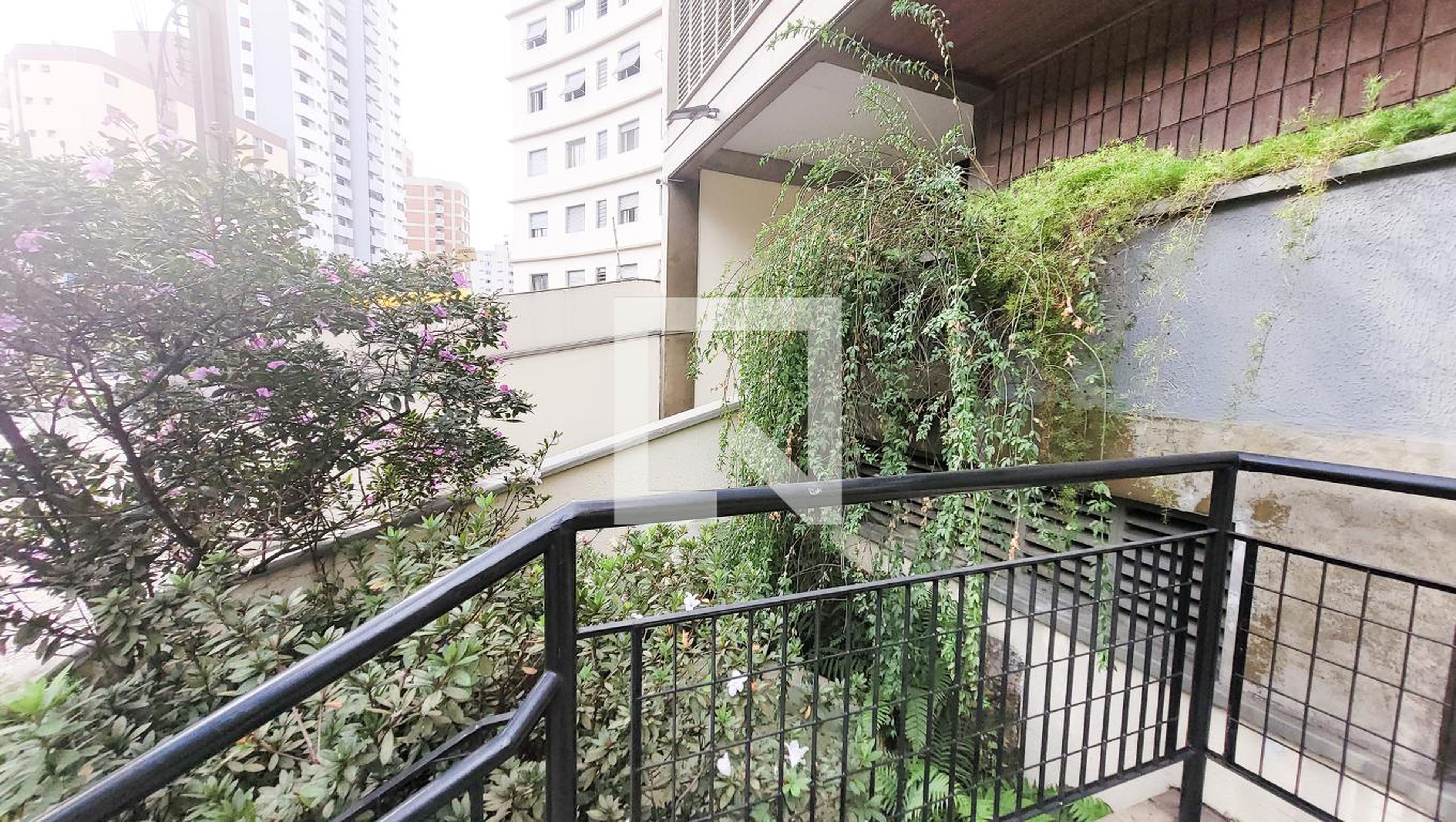 Hall social - Evidence