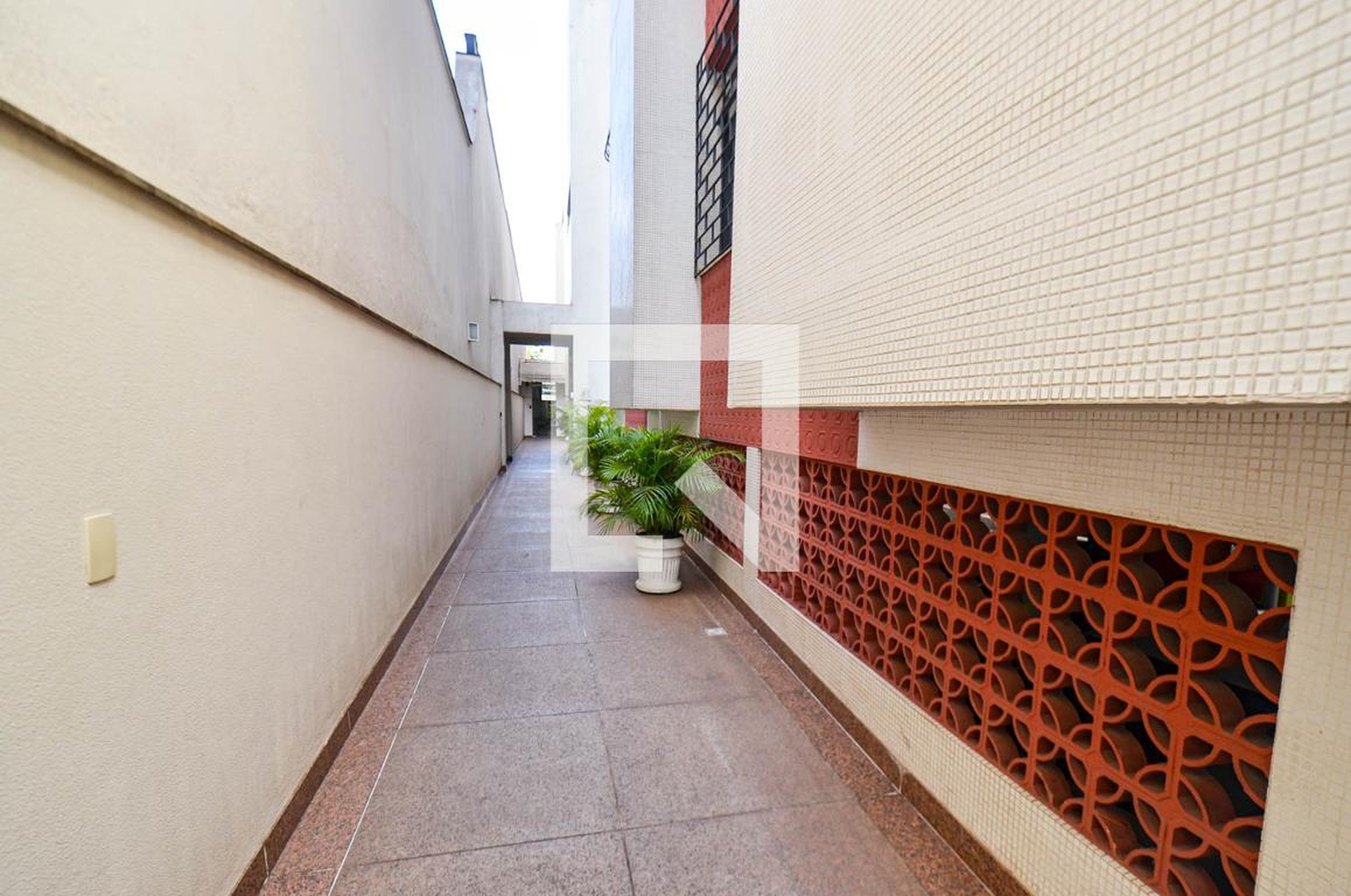 Entrada - Nelio Marcio