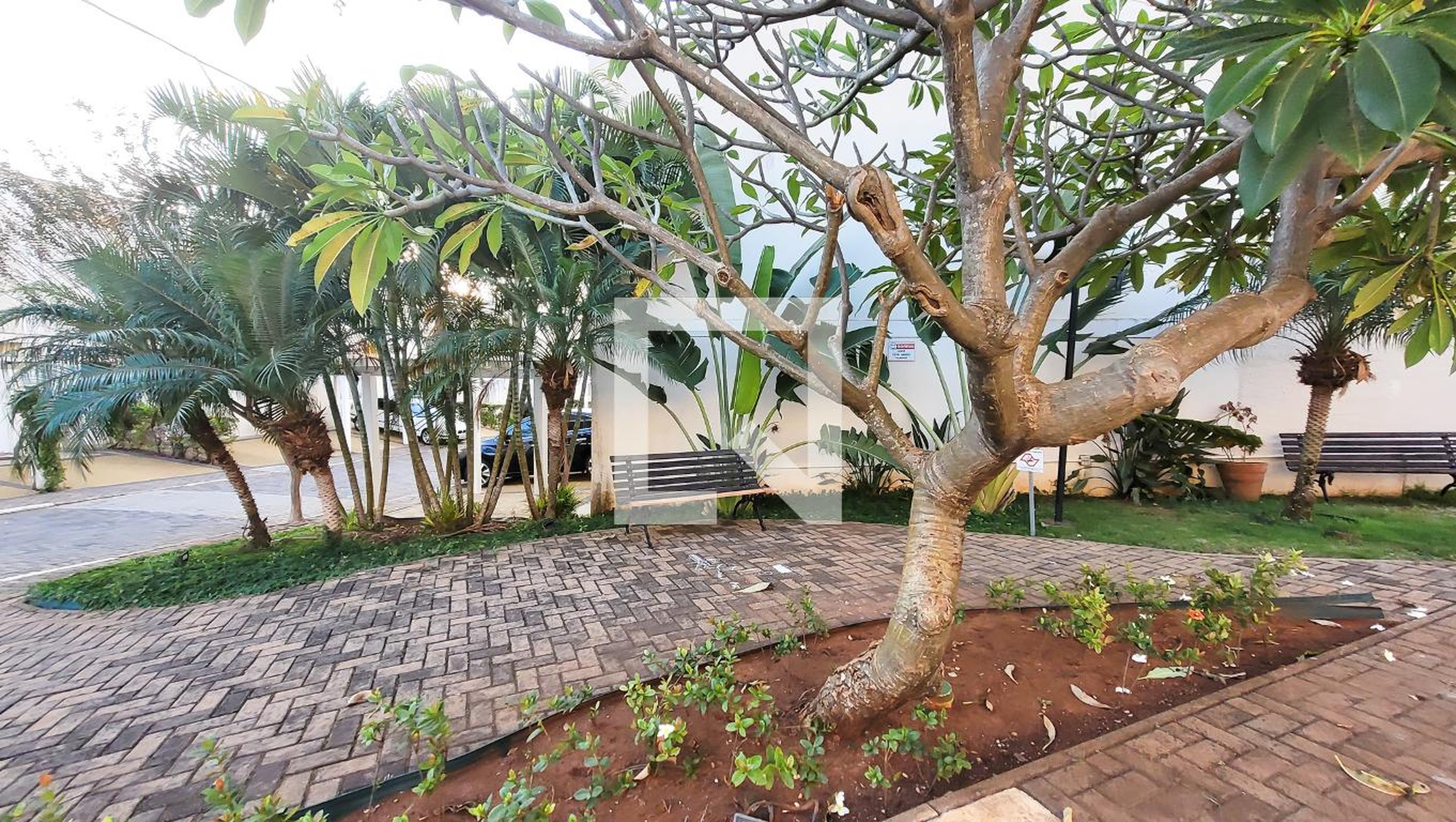 Área comum - Vila Amarilis