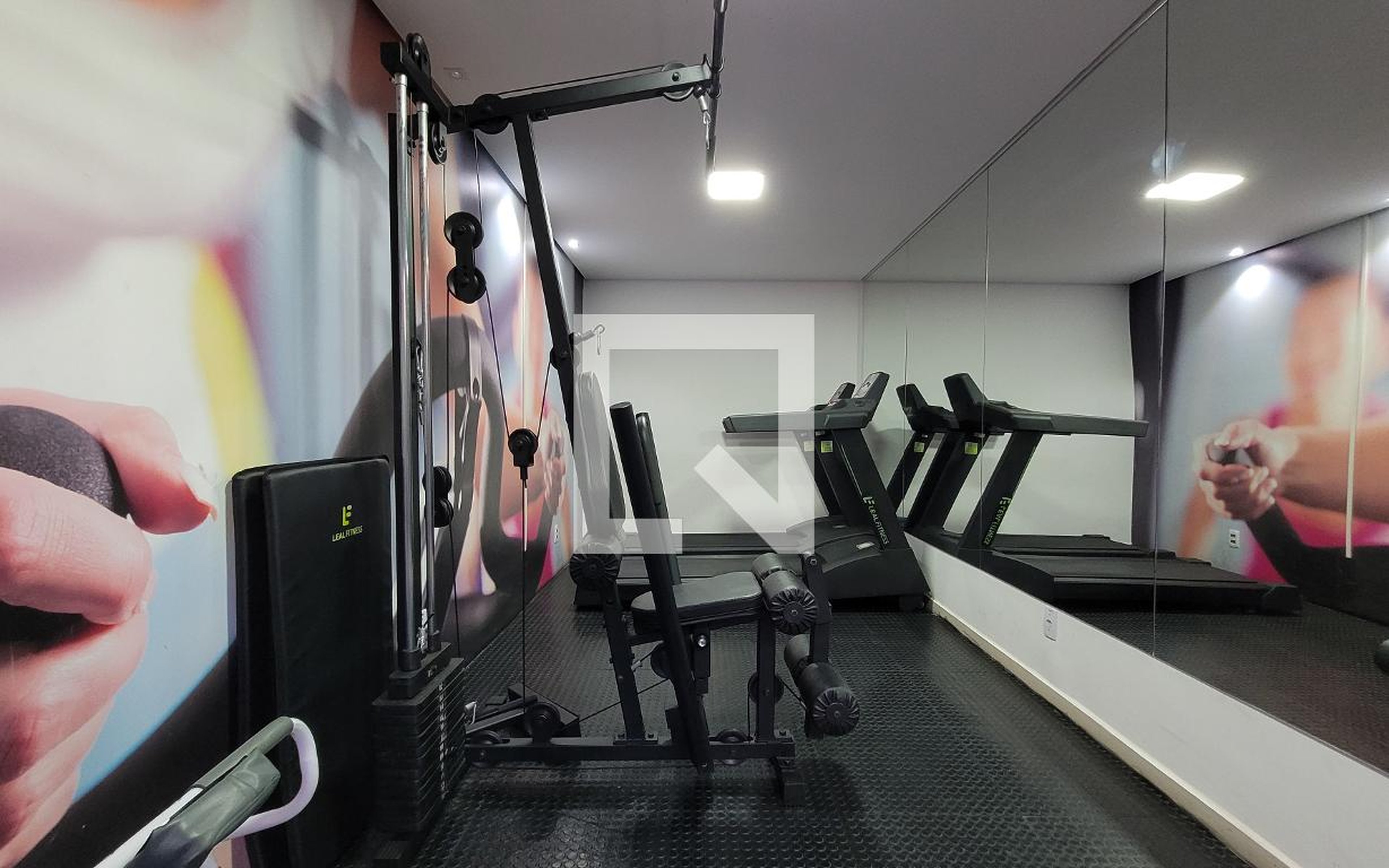 Academia - San Patrick