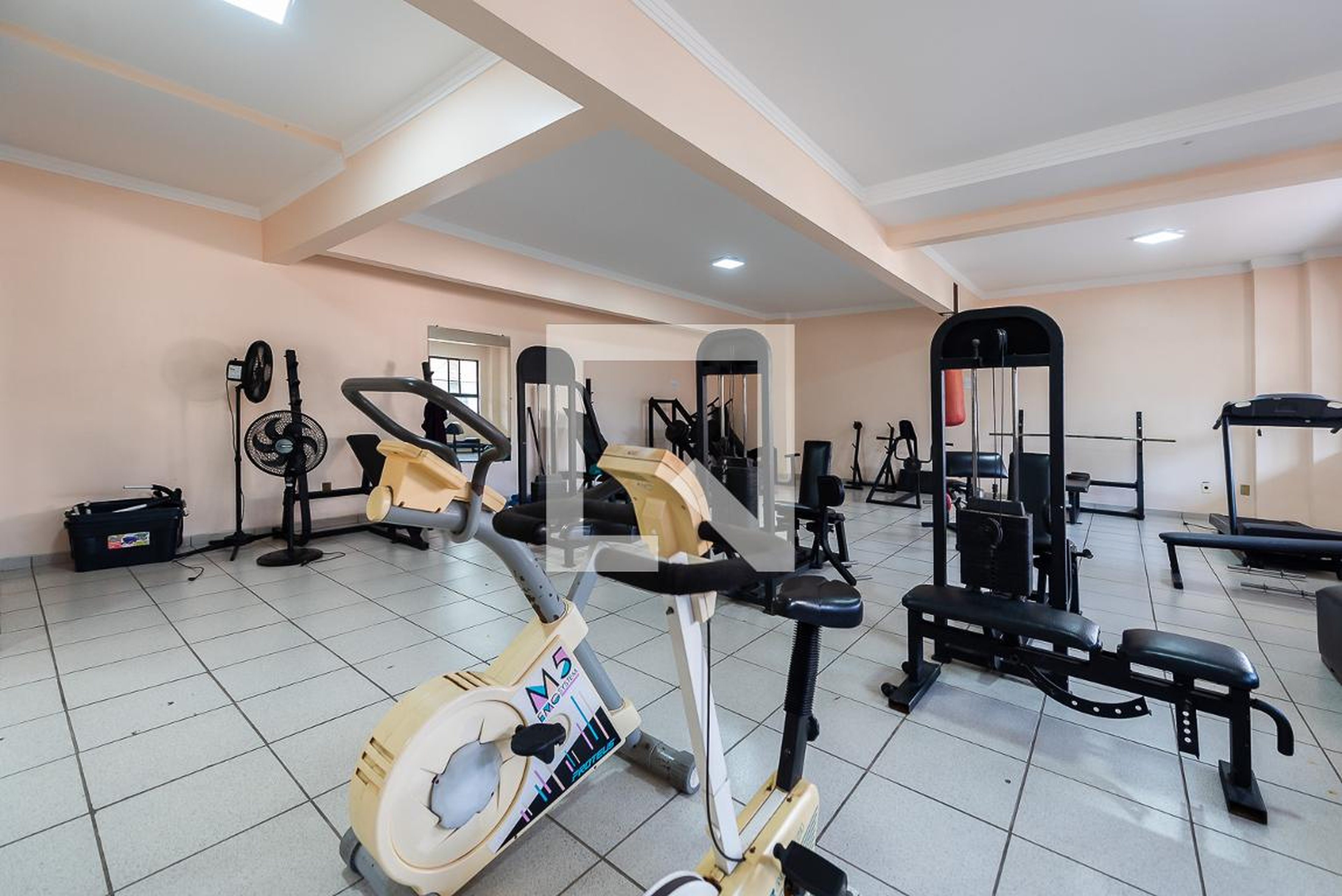 Academia - Gold Star