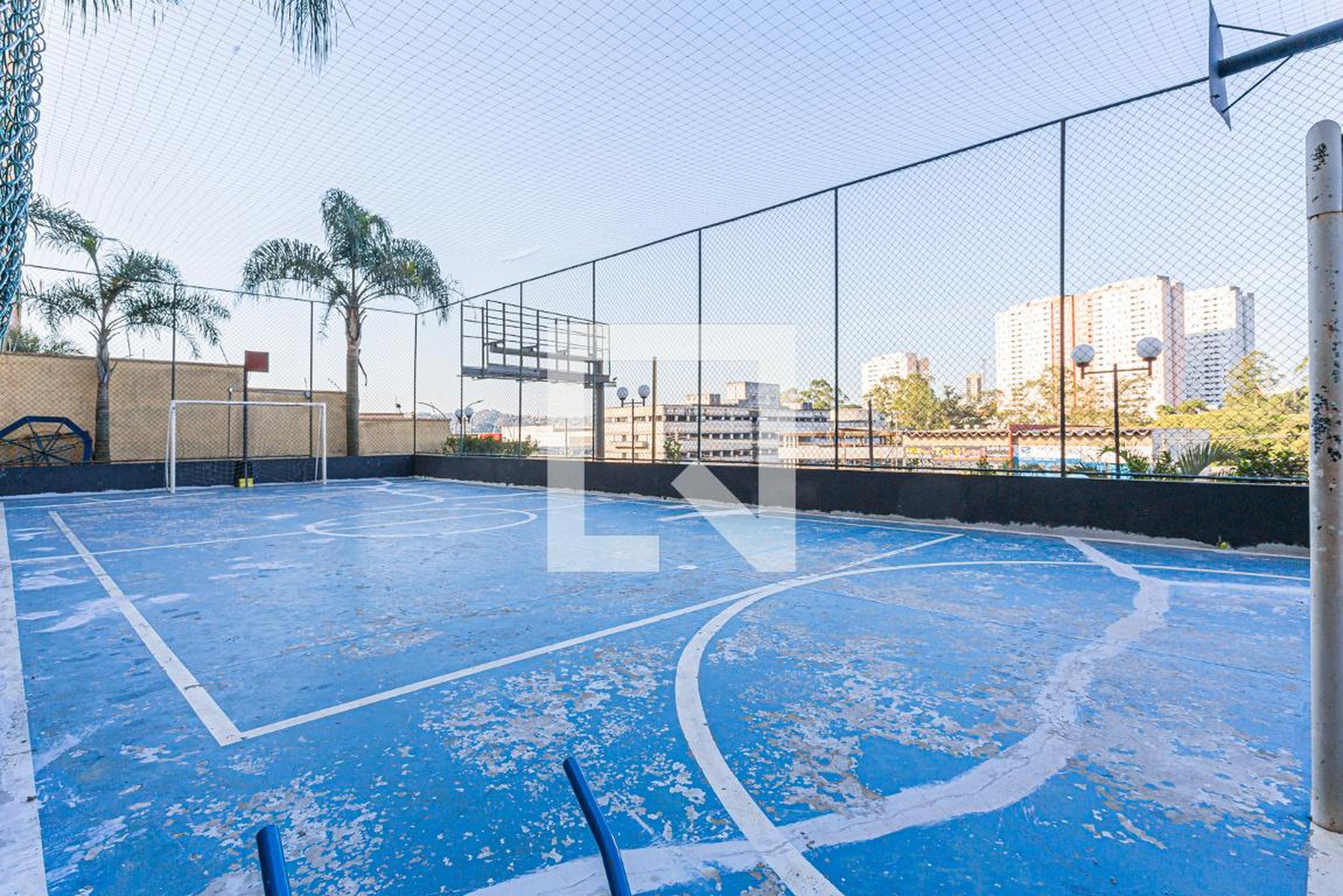 Quadra - Reserva da Cantareira