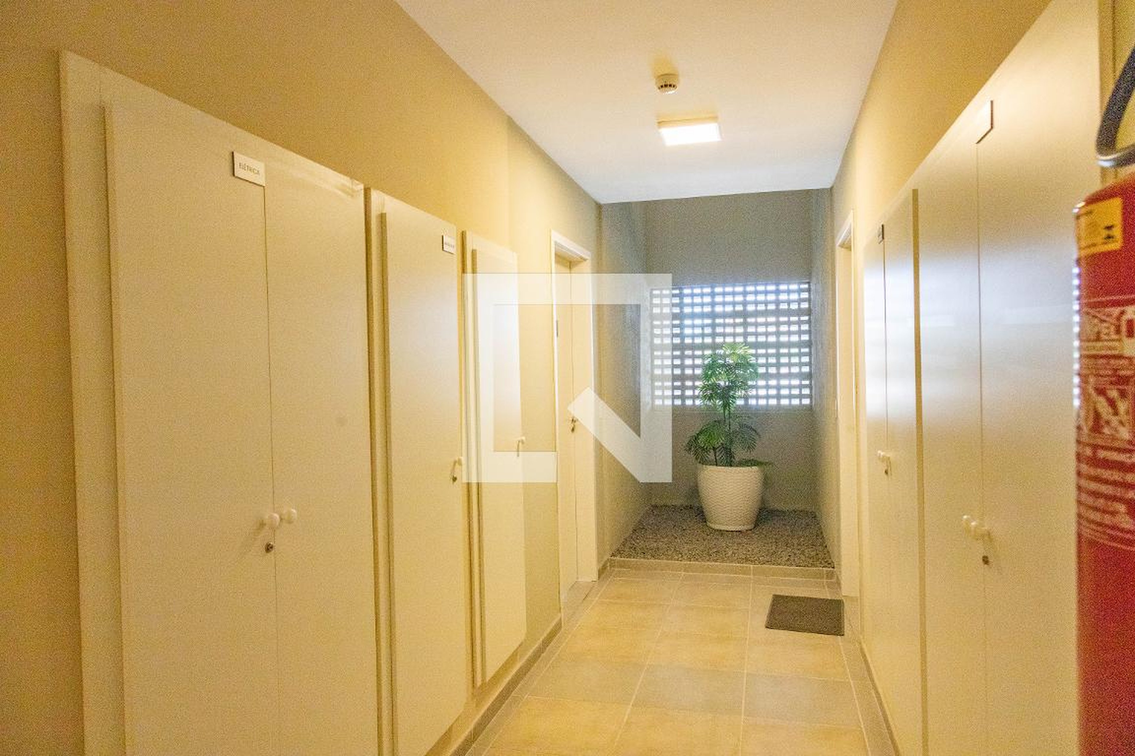 Entrada - Felicità ?Diadema